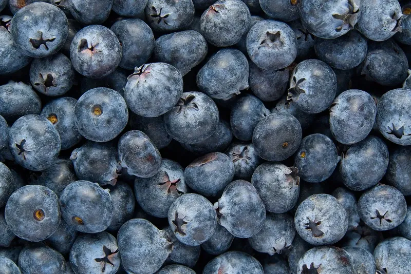 Blueberries