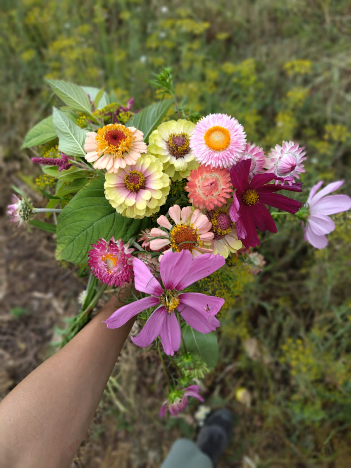 Image of Bouquet of flowers