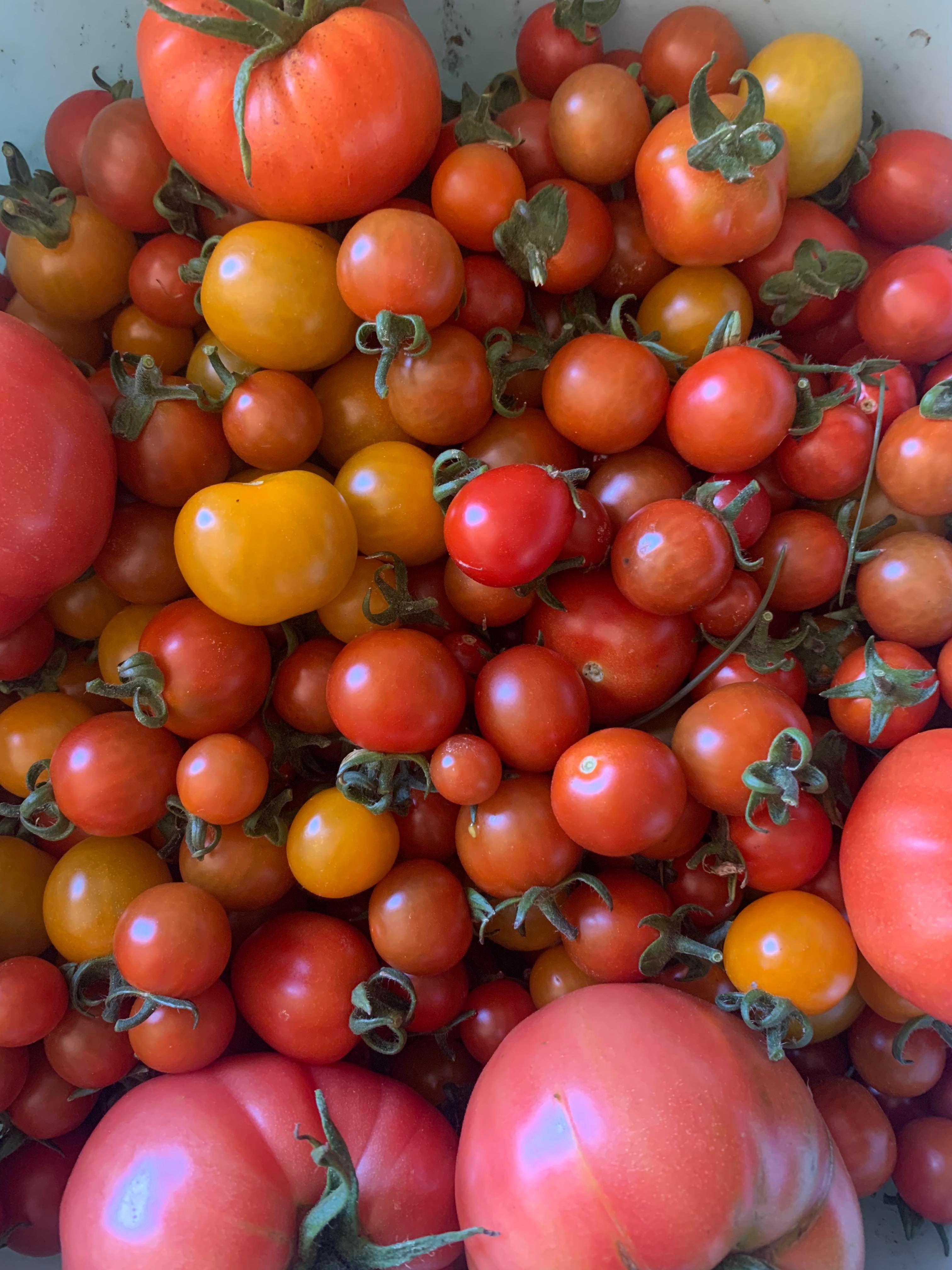 Image of How to order