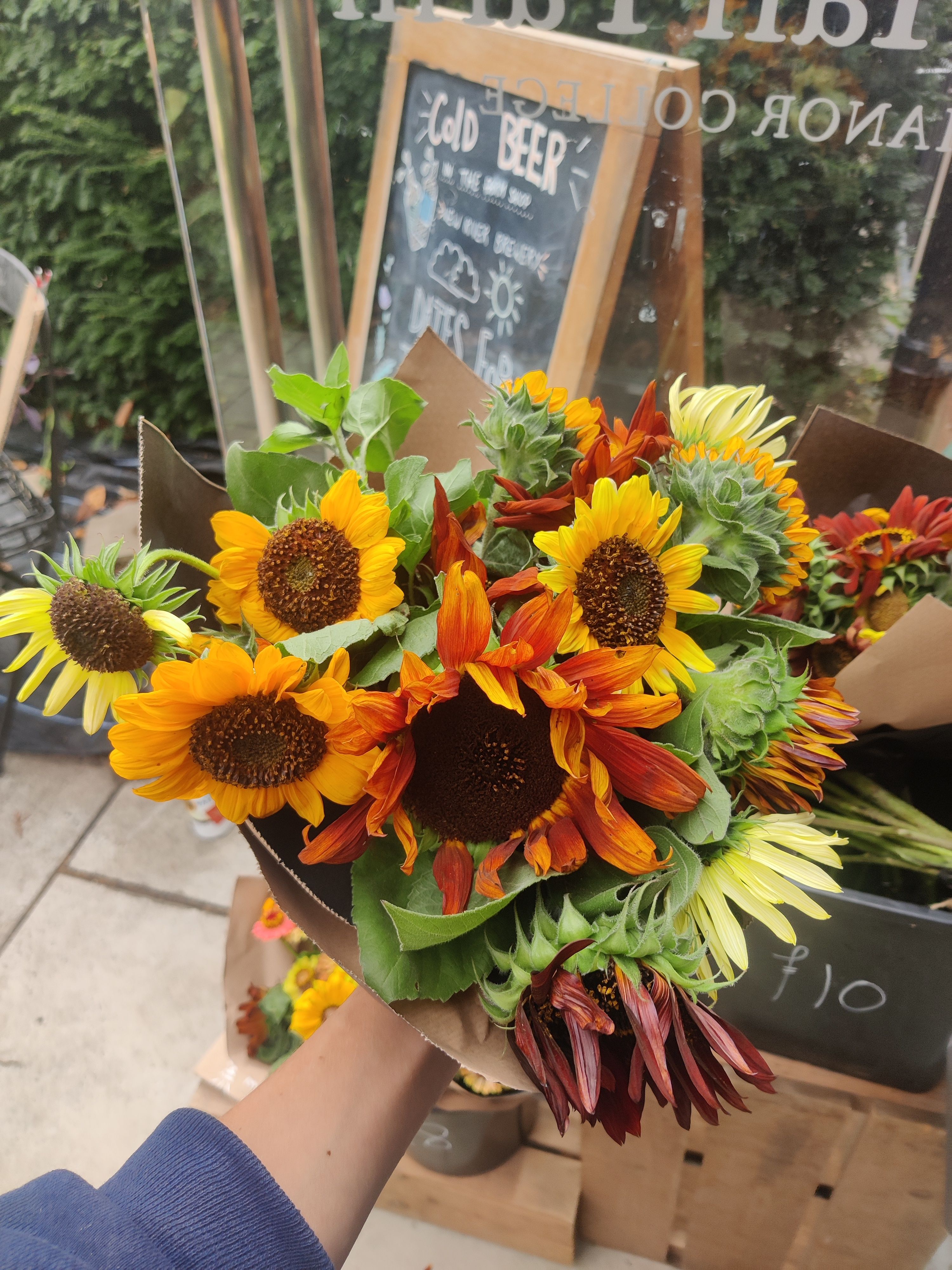 Sunflowers