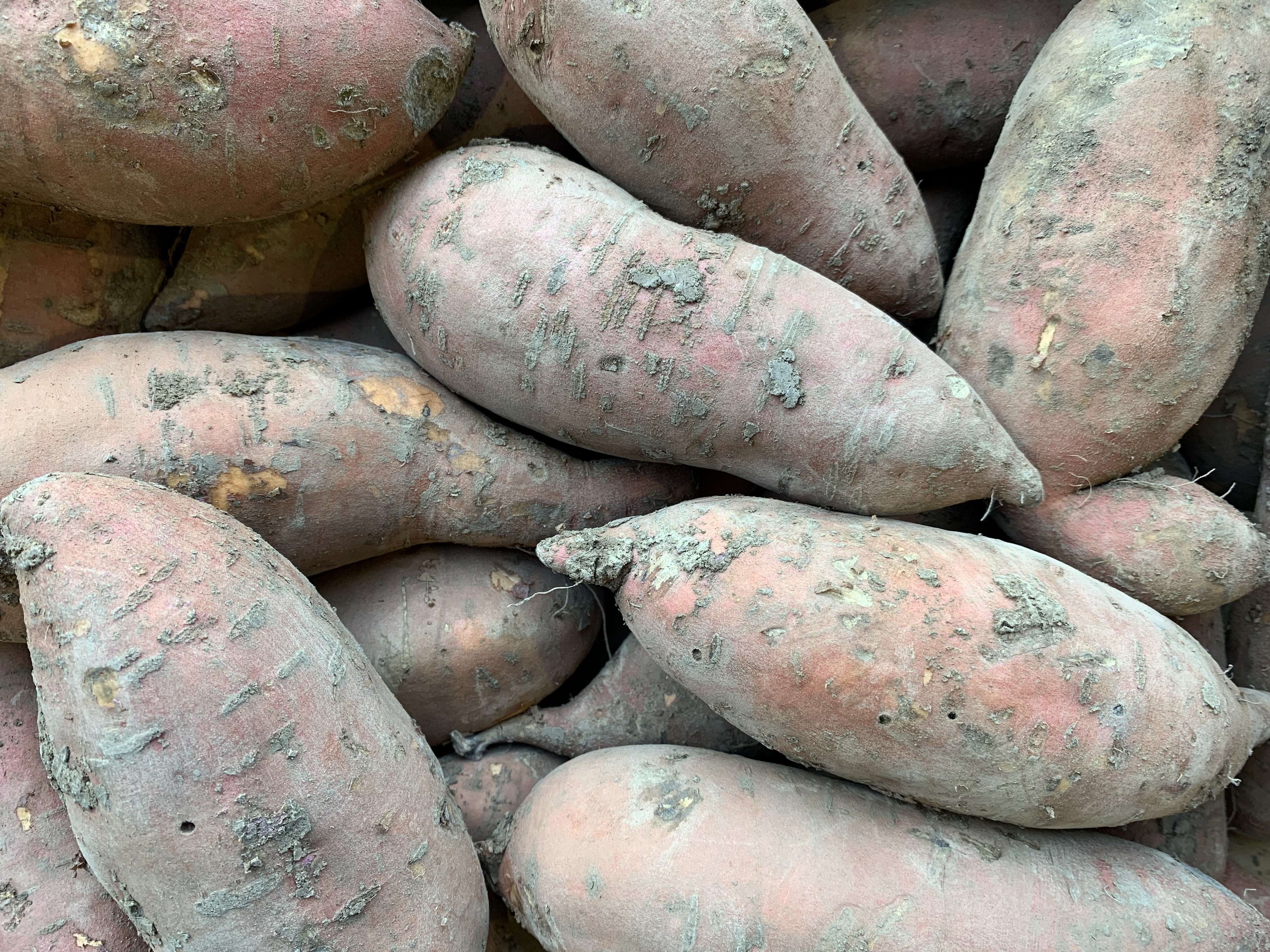 Image of Sweet Potato 350g