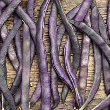 Organic Purple French Beans