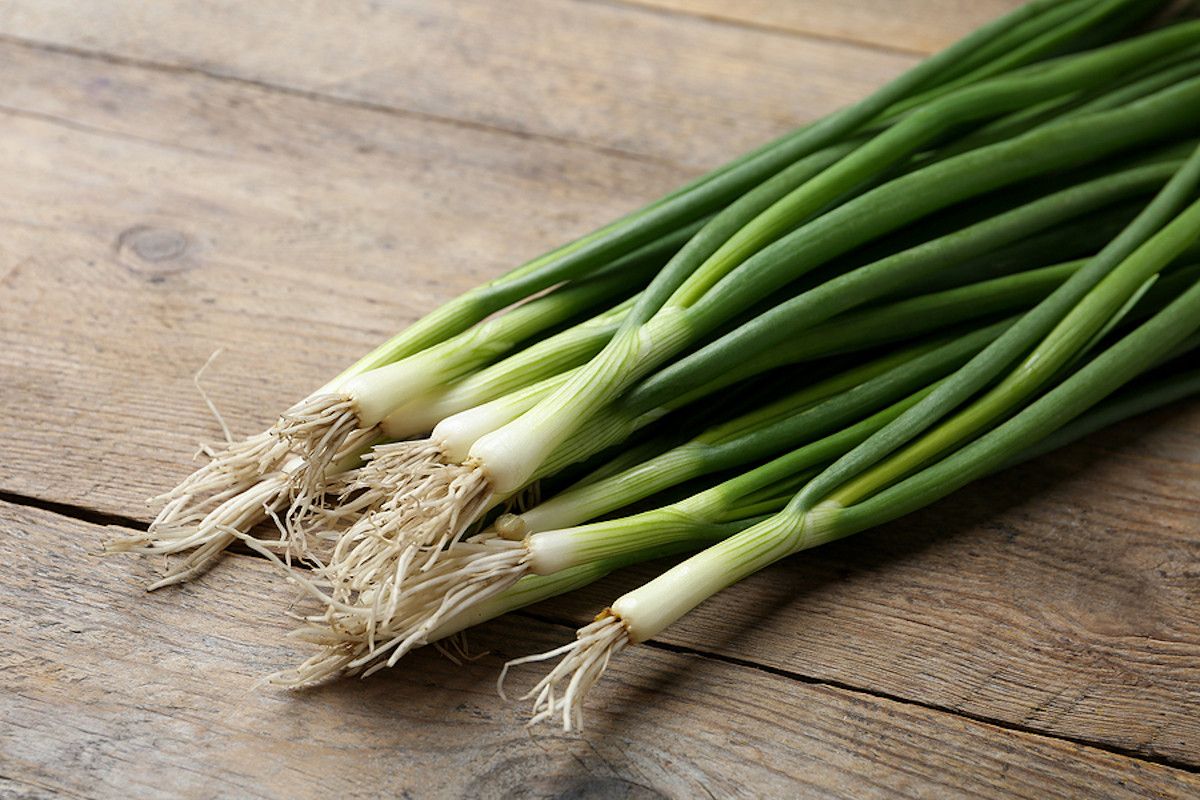 Spring onions
