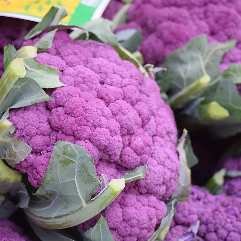 Image of Cauliflower - Purple