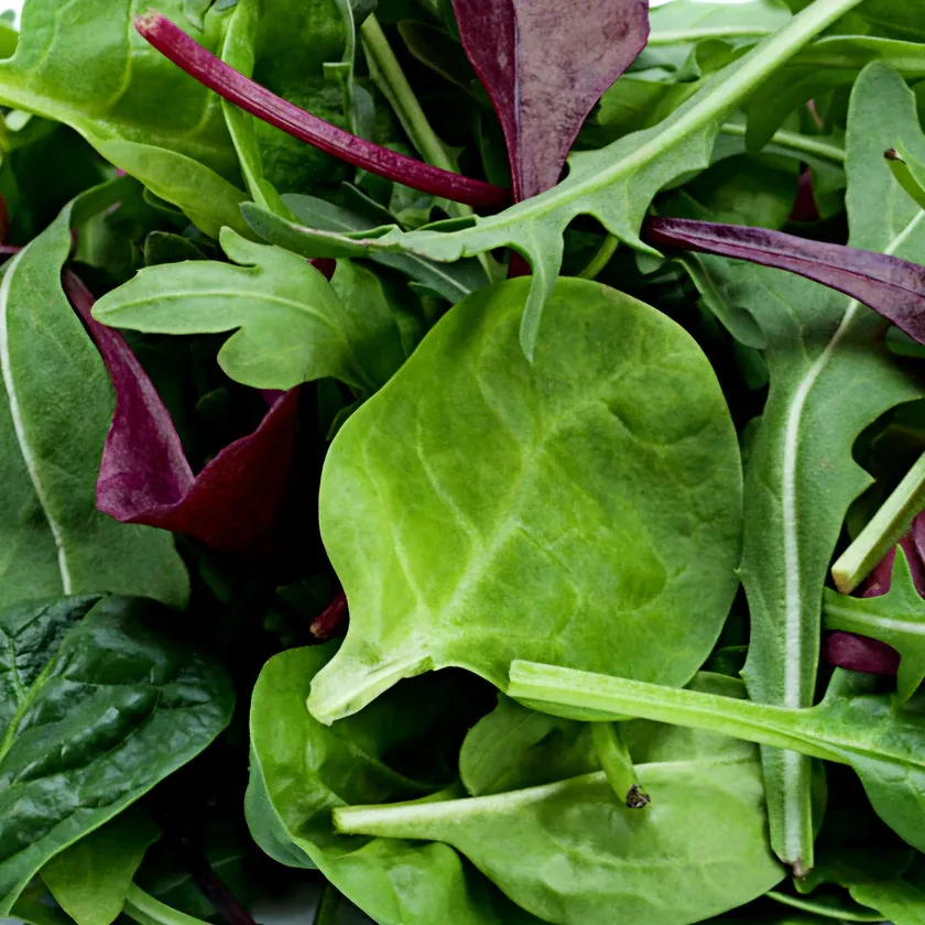 Mixed Baby Leaf Salad