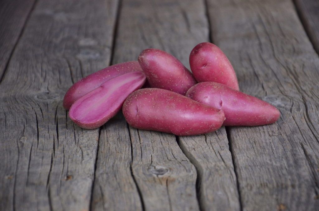 
Buston Farms Red Emmalie Potato grown in Northumberland: 5kg (Pre-order Product)