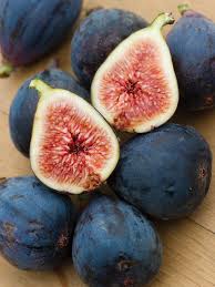PYO Figs - Black