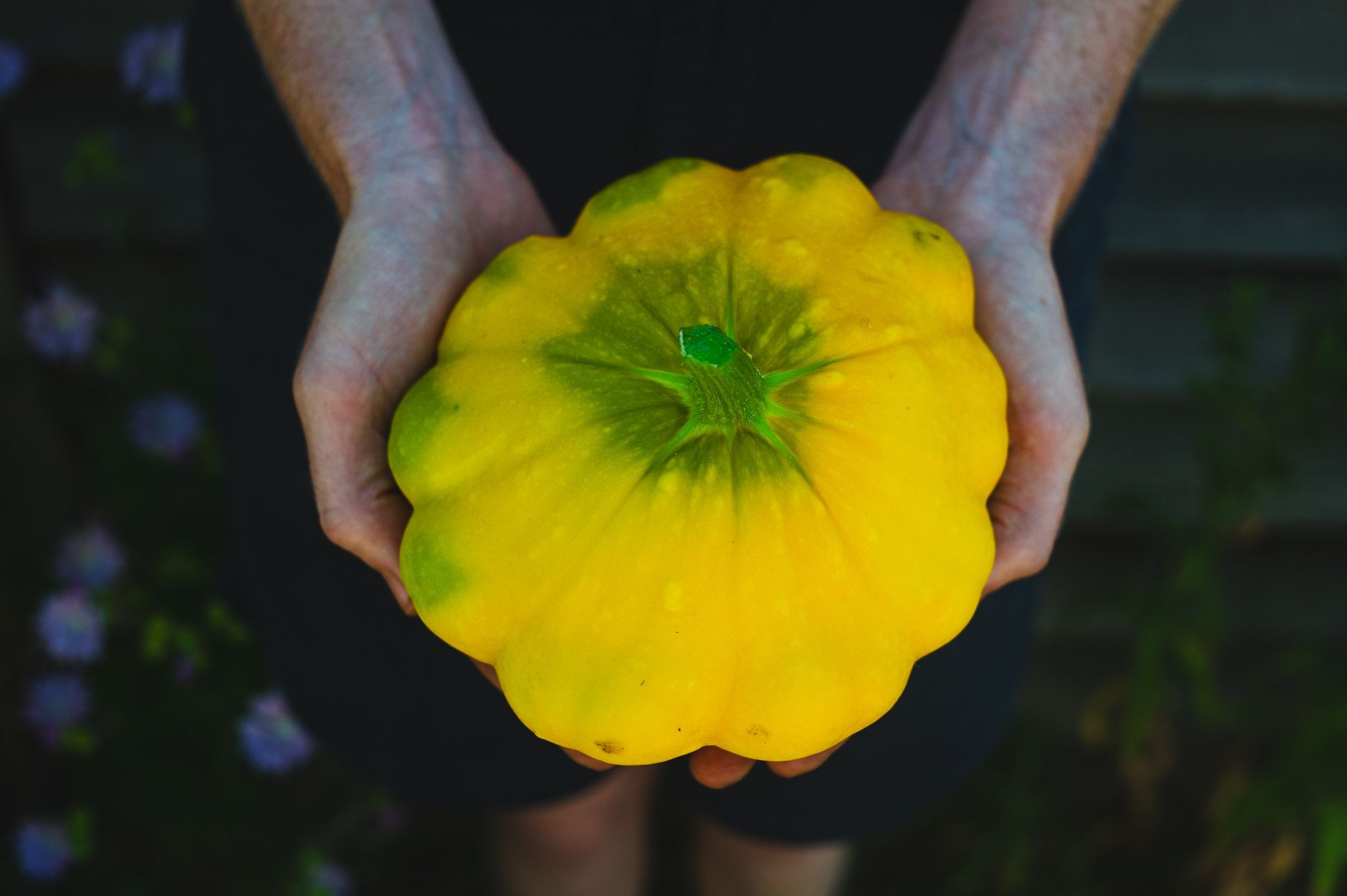 Image of Patti Pan Squash