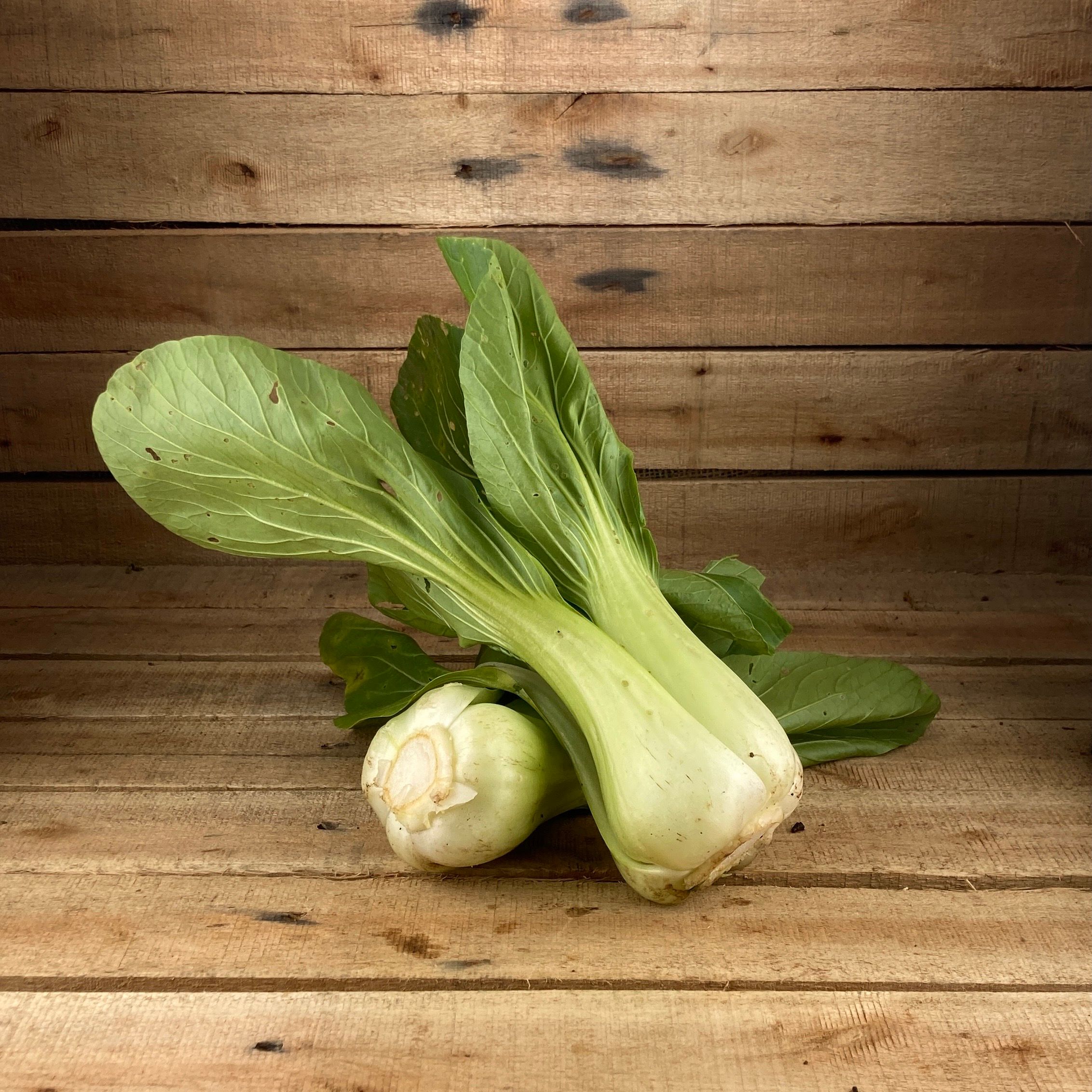 Pak Choi