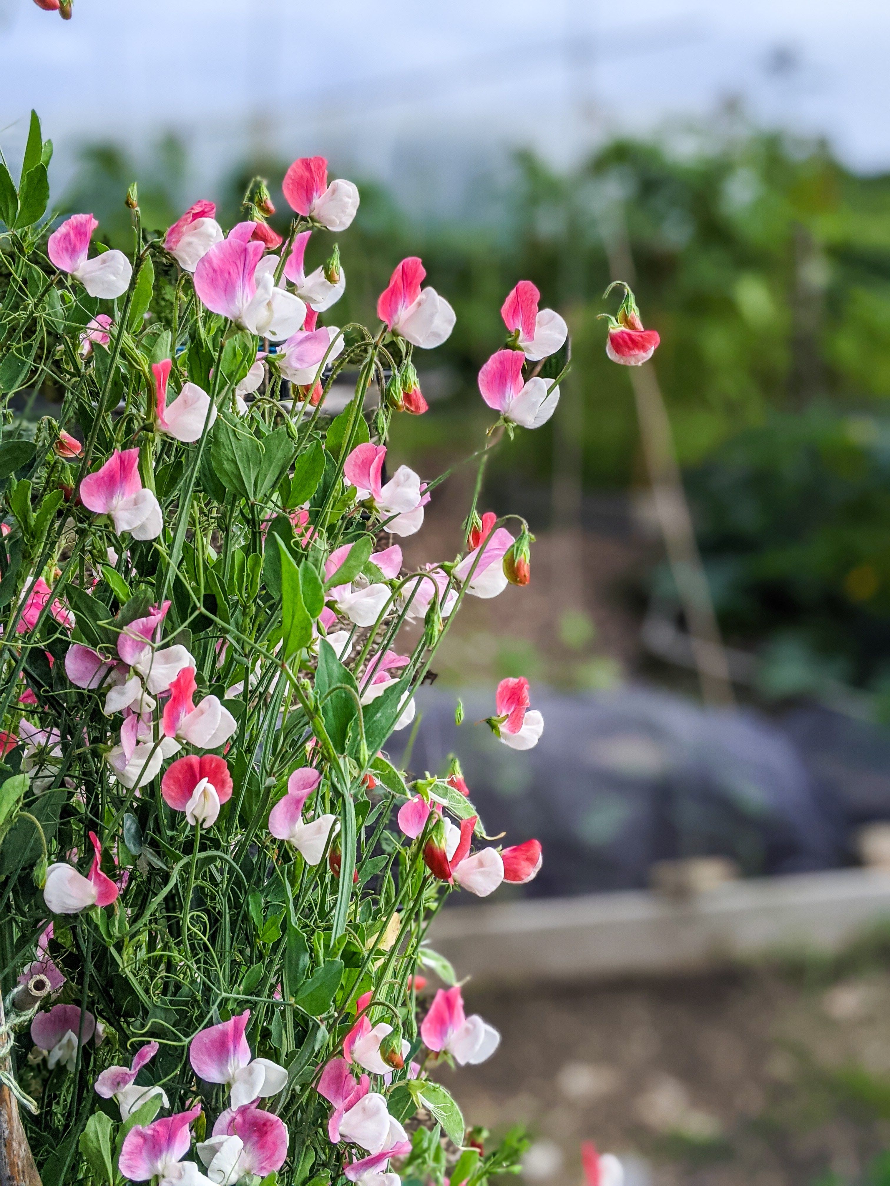 Image of News & events 