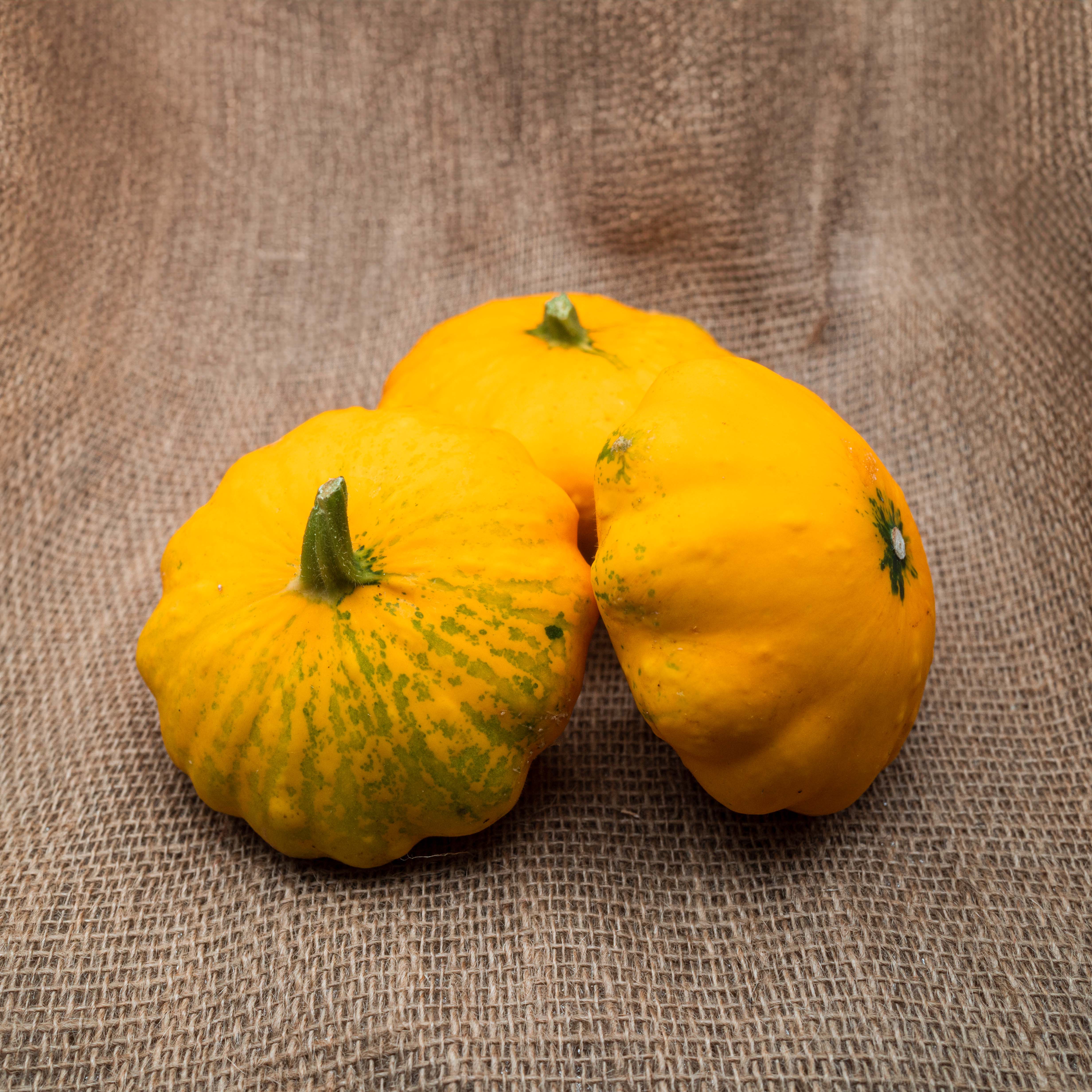 PYO Squash - Patty Pan