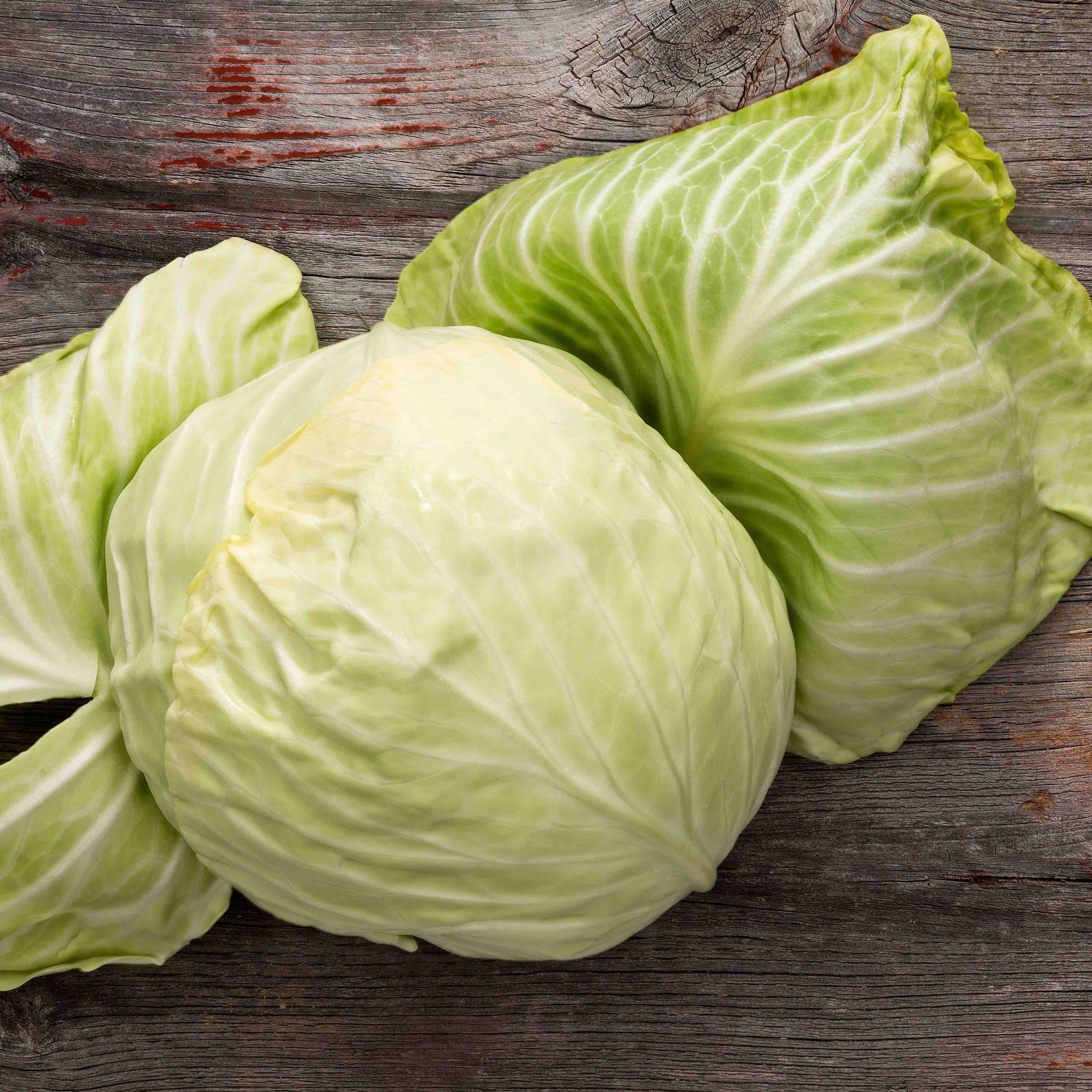 Cabbage 'Green'