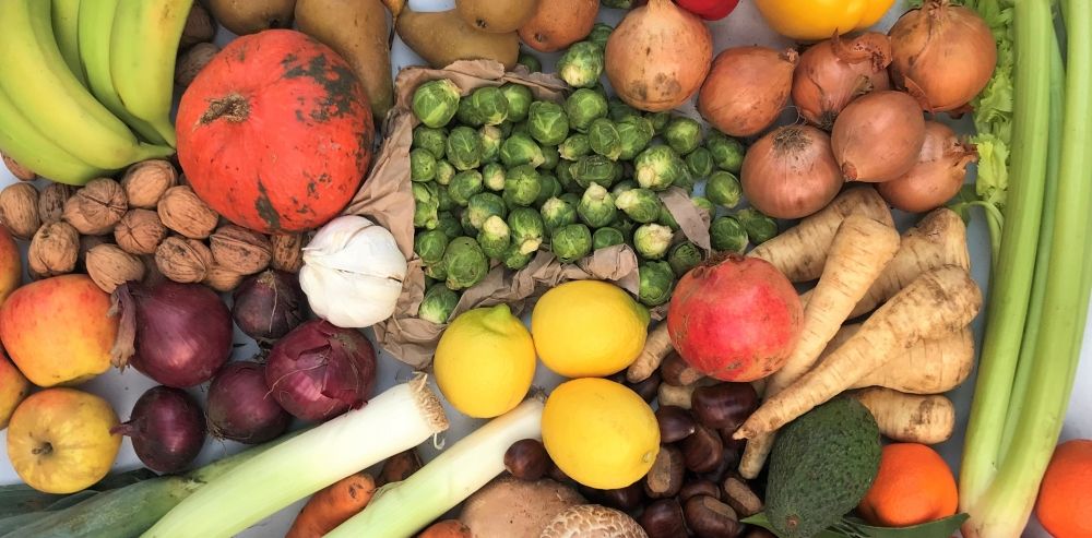 Image of WHAT HAPPENS IN JANUARY?