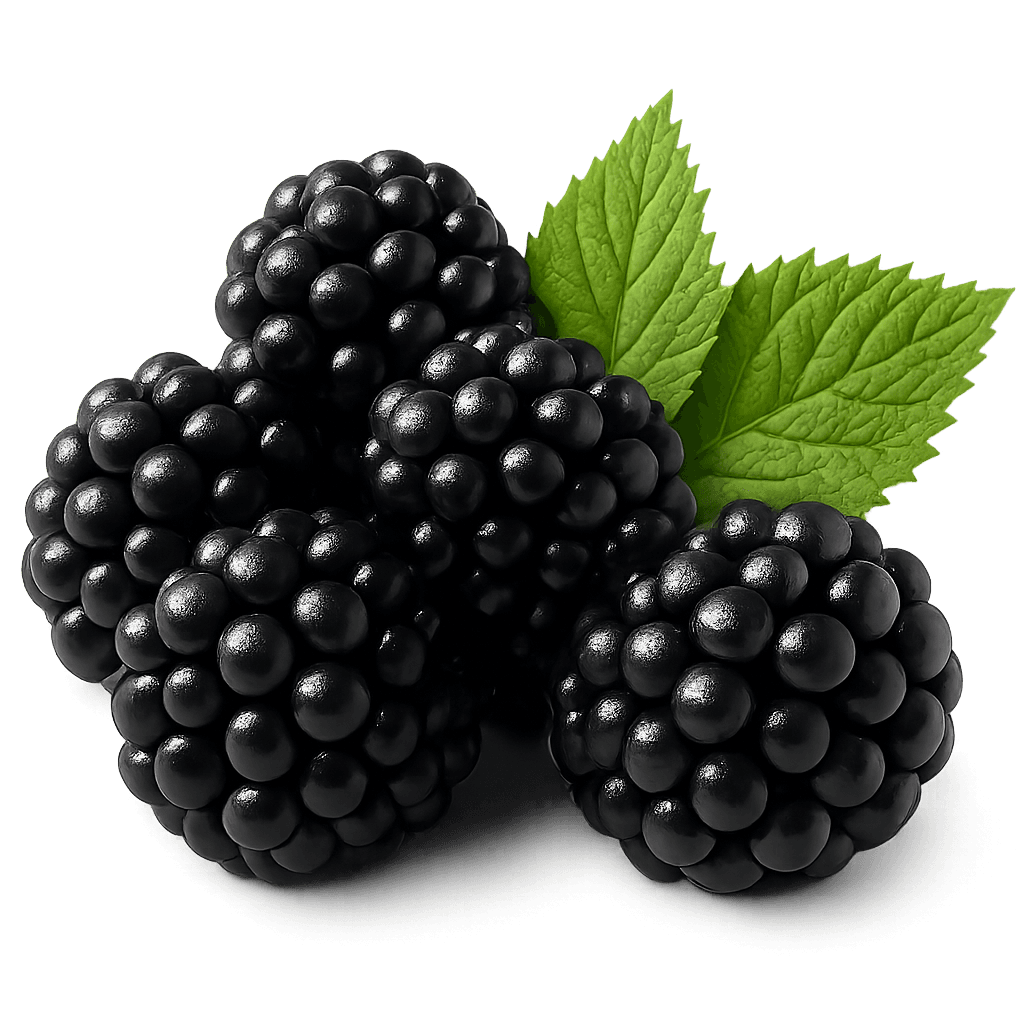 Image of Blackberries