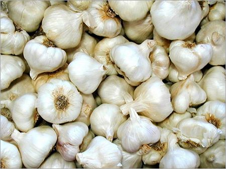 Image of Garlic