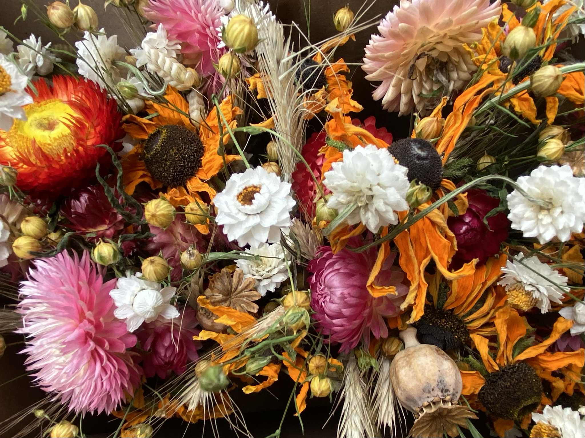 Image of Dried Flowers