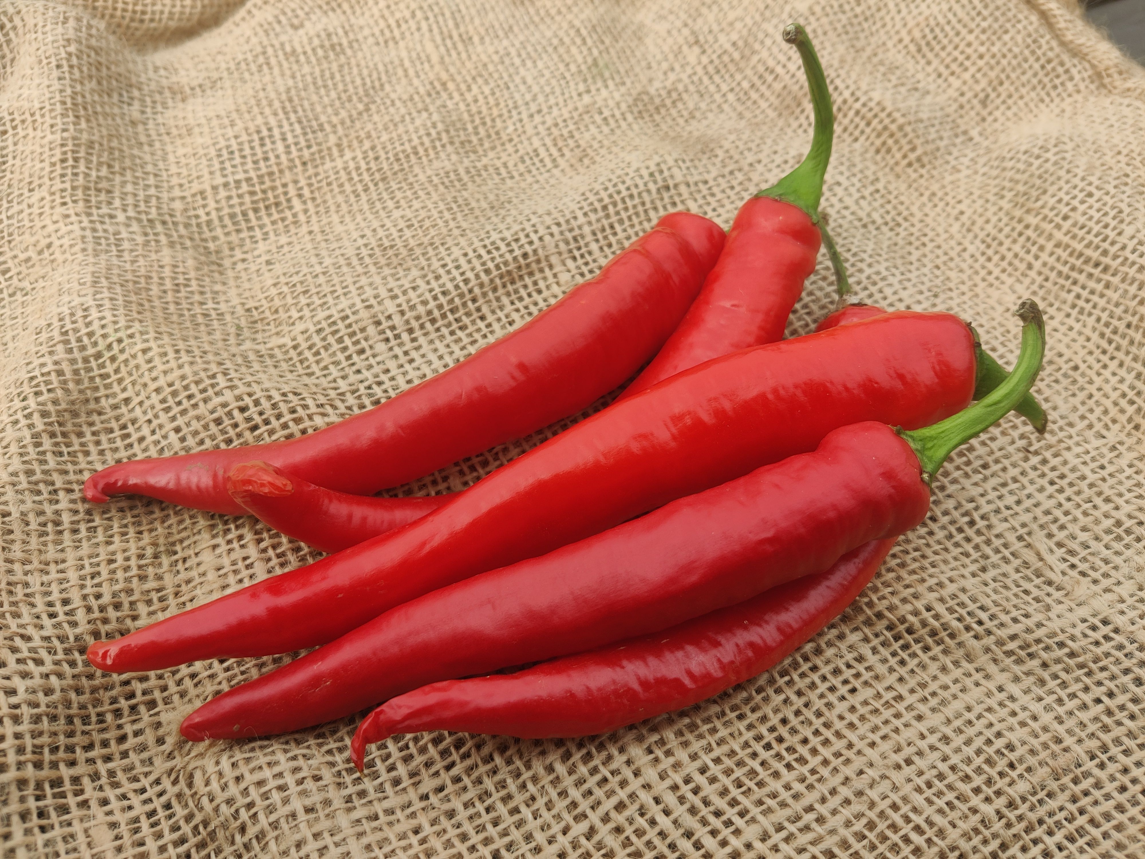 Chillies, mild (Forty Hall Farm)