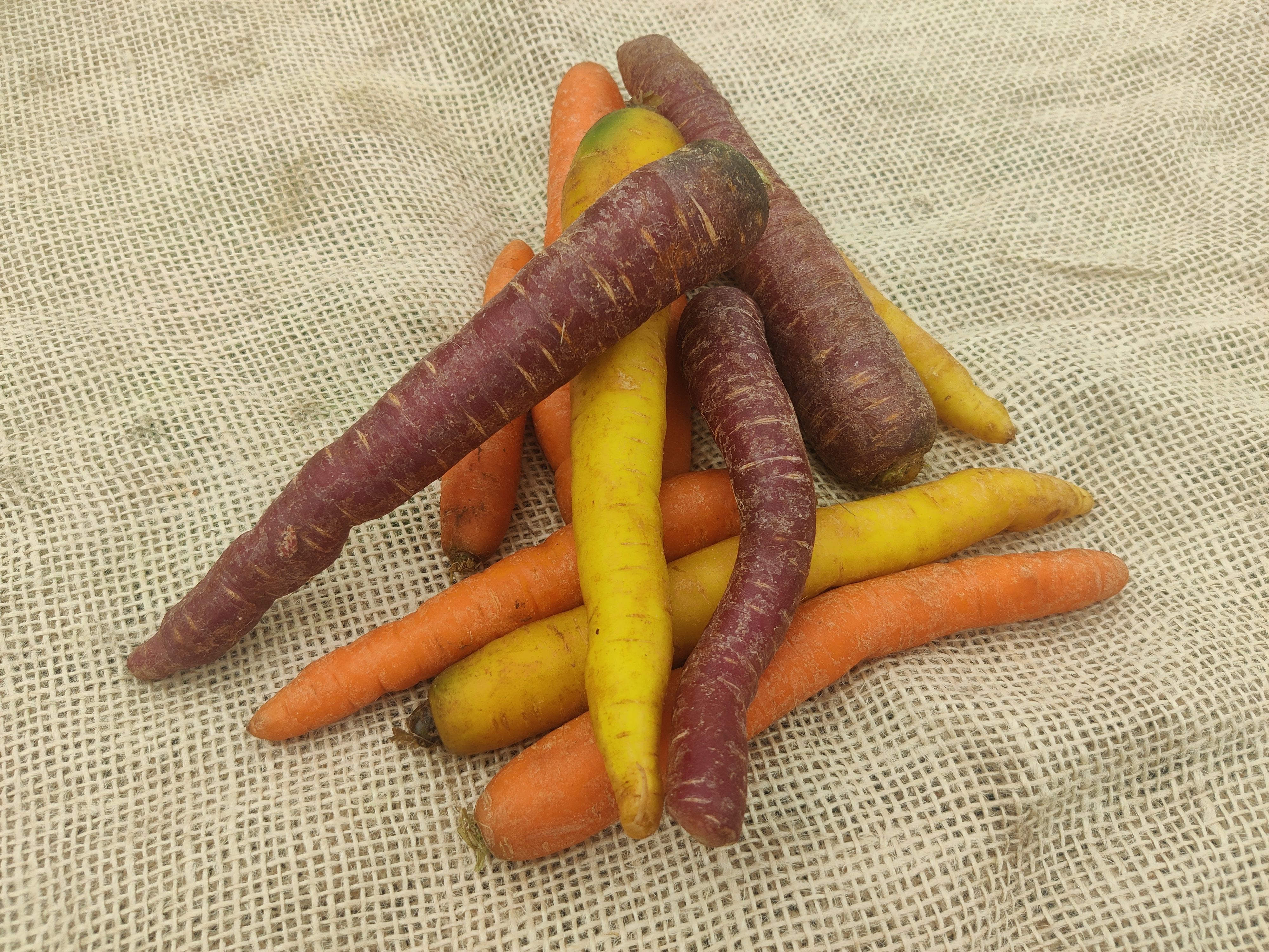 Image of Rainbow Carrots