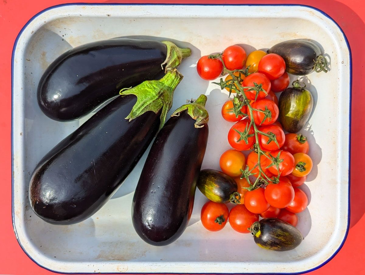 Image of 4 Ways With Our Tomatoes & Aubergines