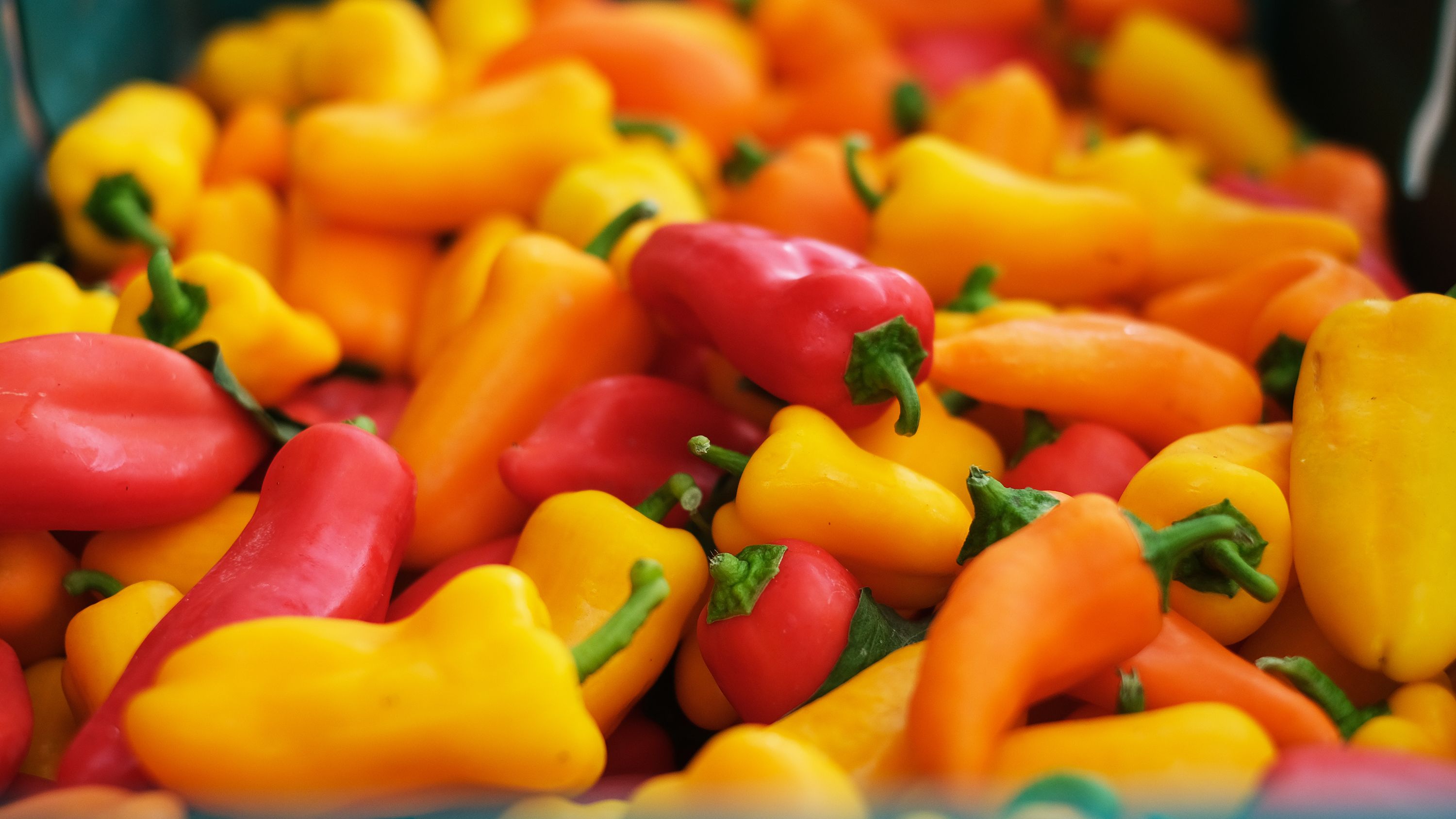 Image of Seasonal eating