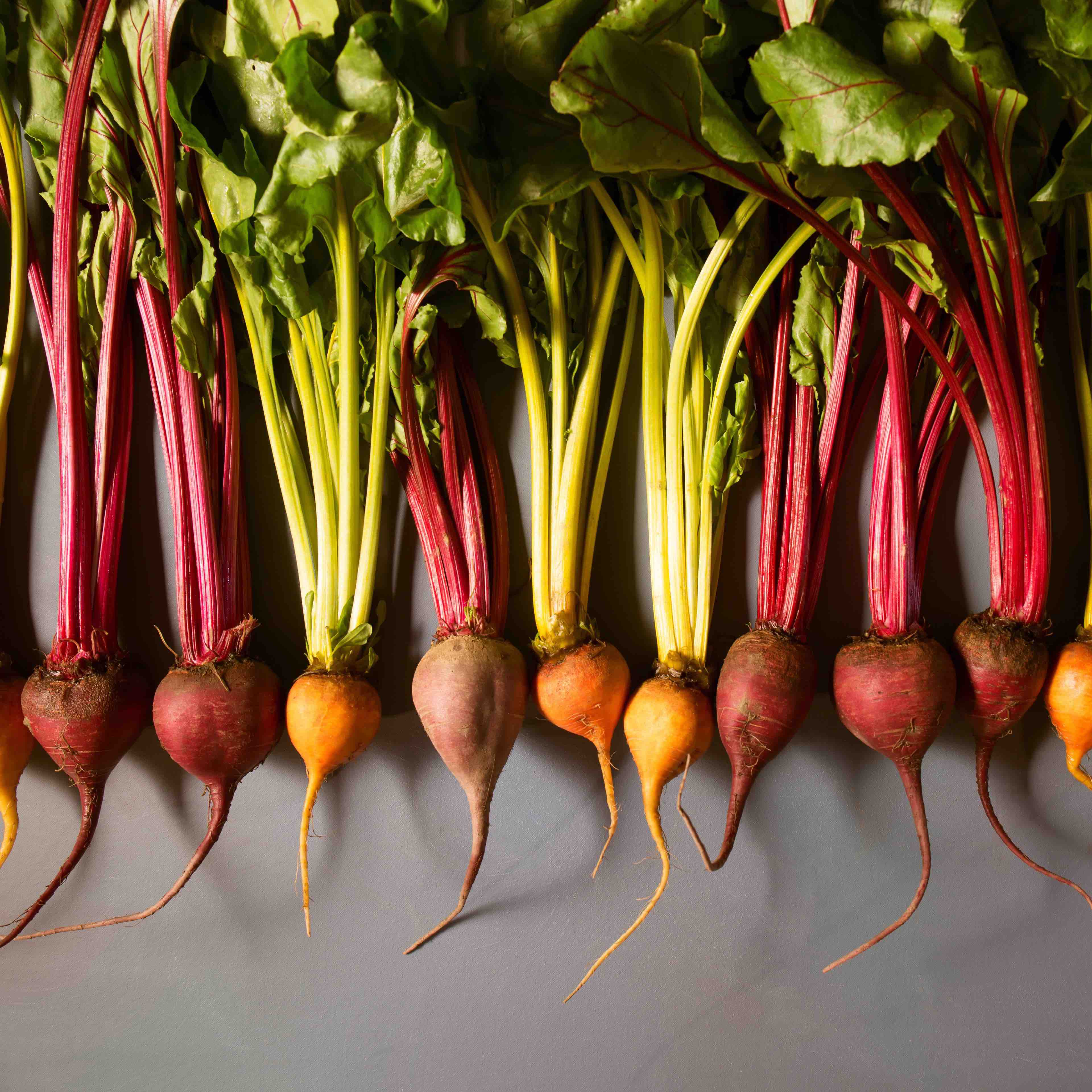 Image of Beetroot 'Rainbow' (Bunch)