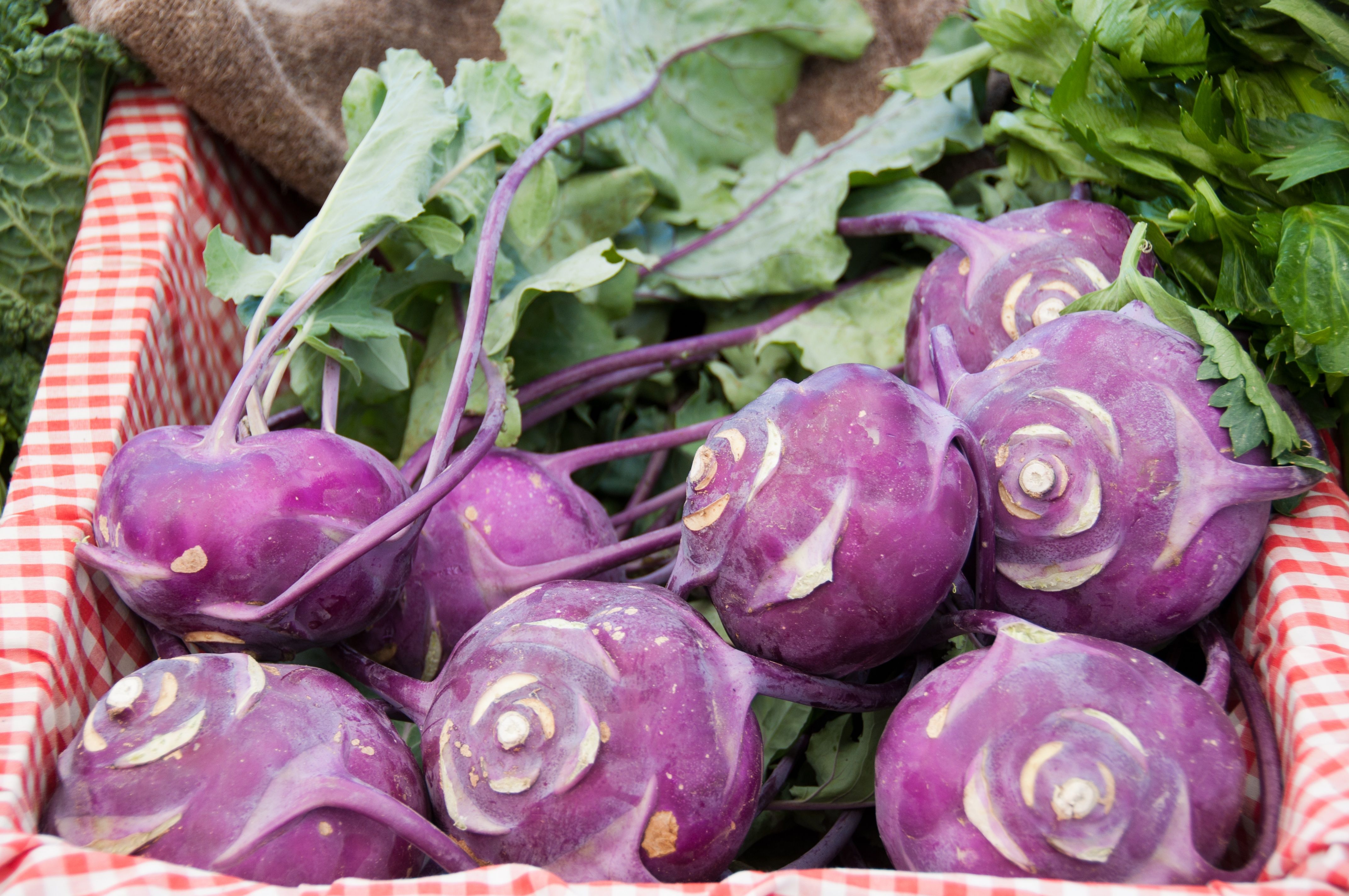 Image of Organic Kohl Rabi (Yorkshire)