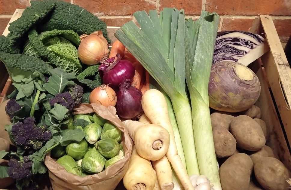 Christmas feast veg box - medium (available for Dec 23rd delivery only; order by December 14th!) 