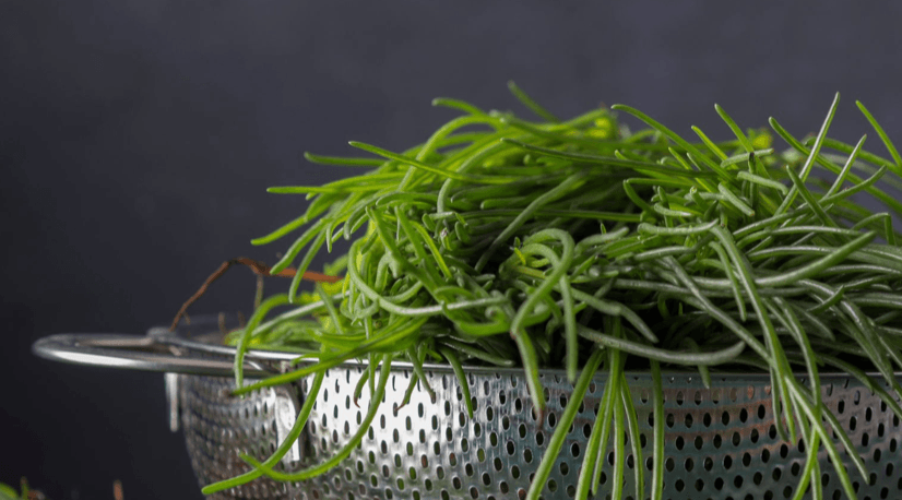 Agretti (Monk's beard)