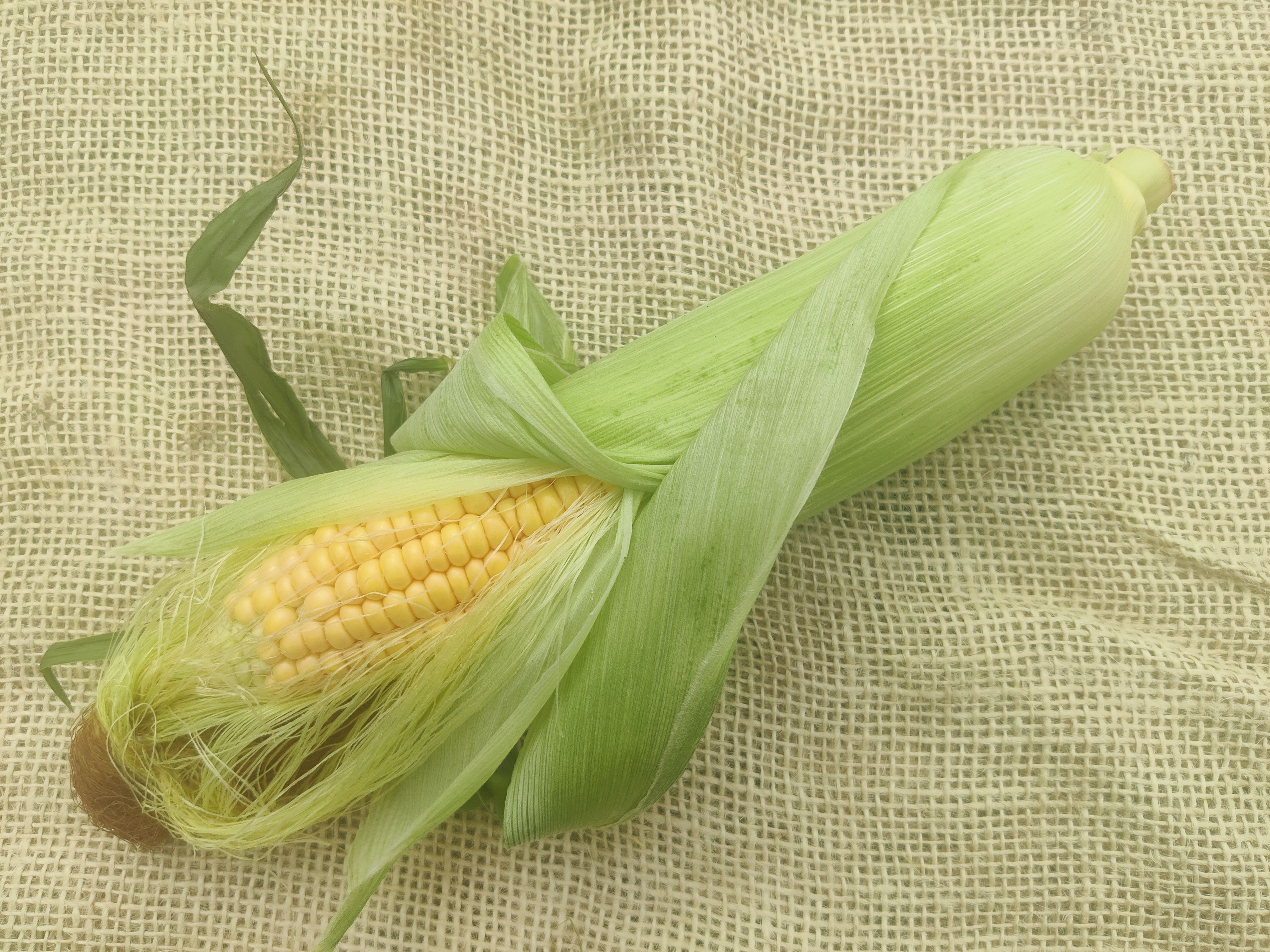 Image of Sweetcorn