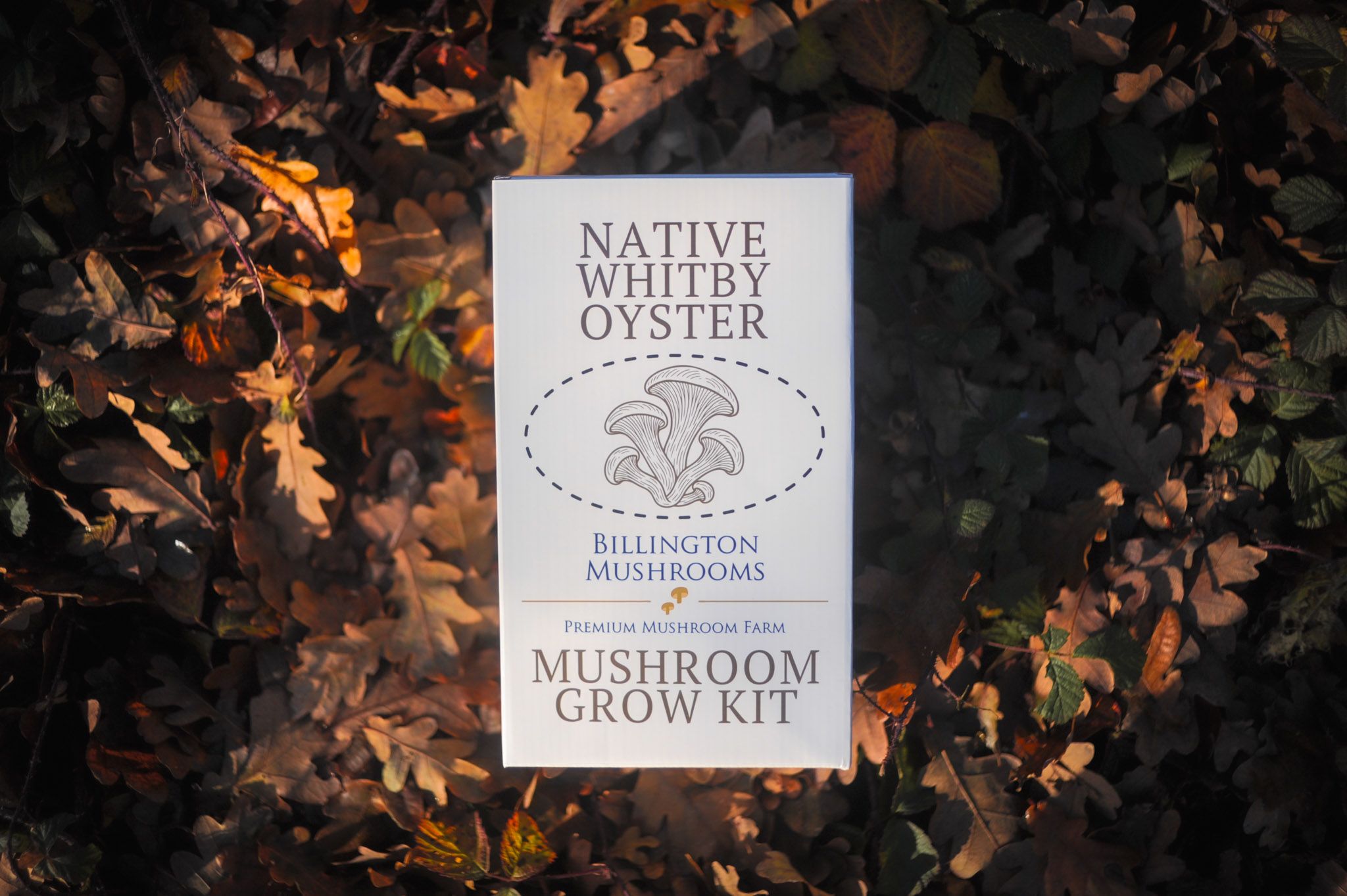 Image of Mushroom Grow Kit Native Whitby Oyster