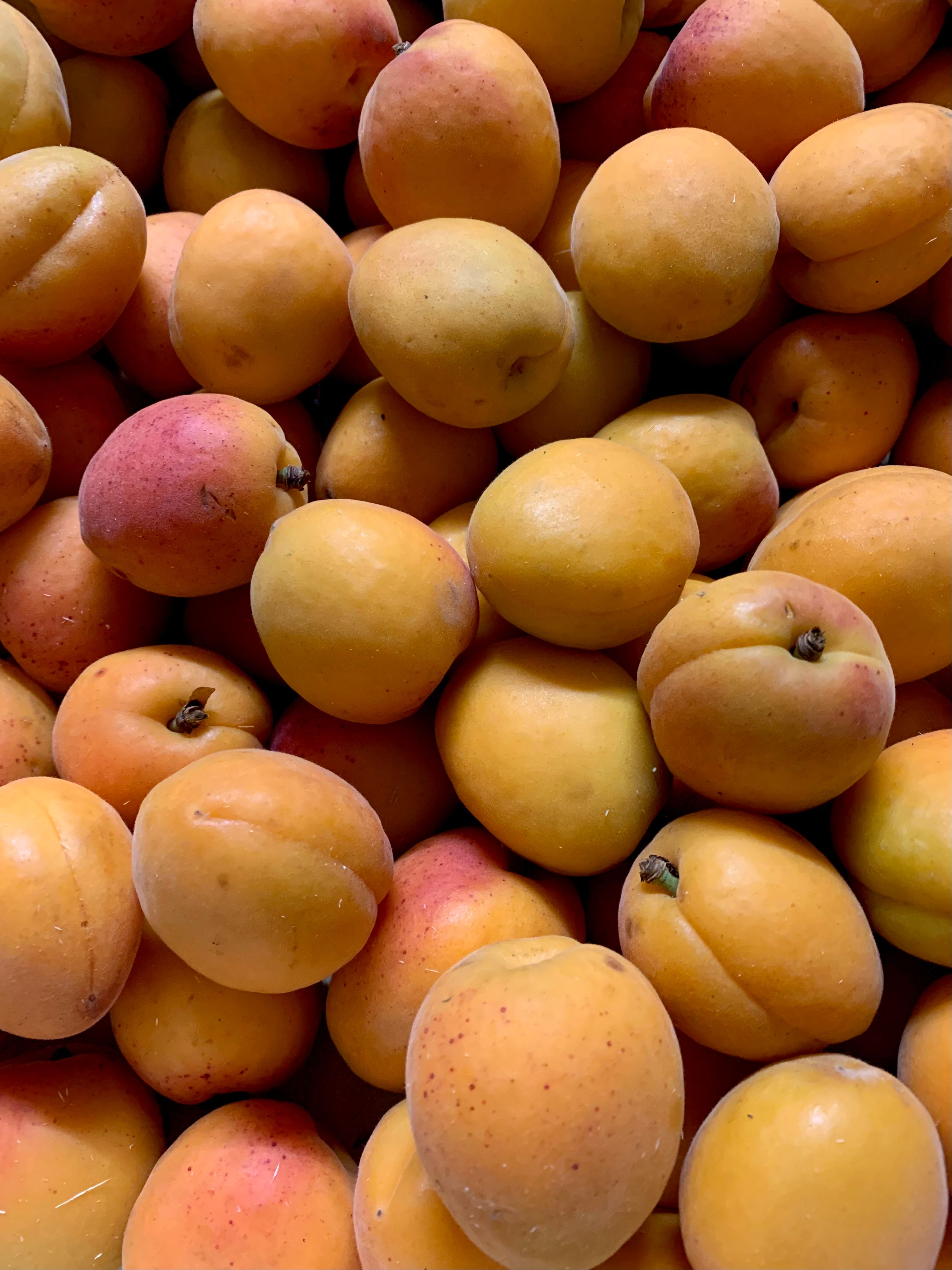 Image of Stone Fruits