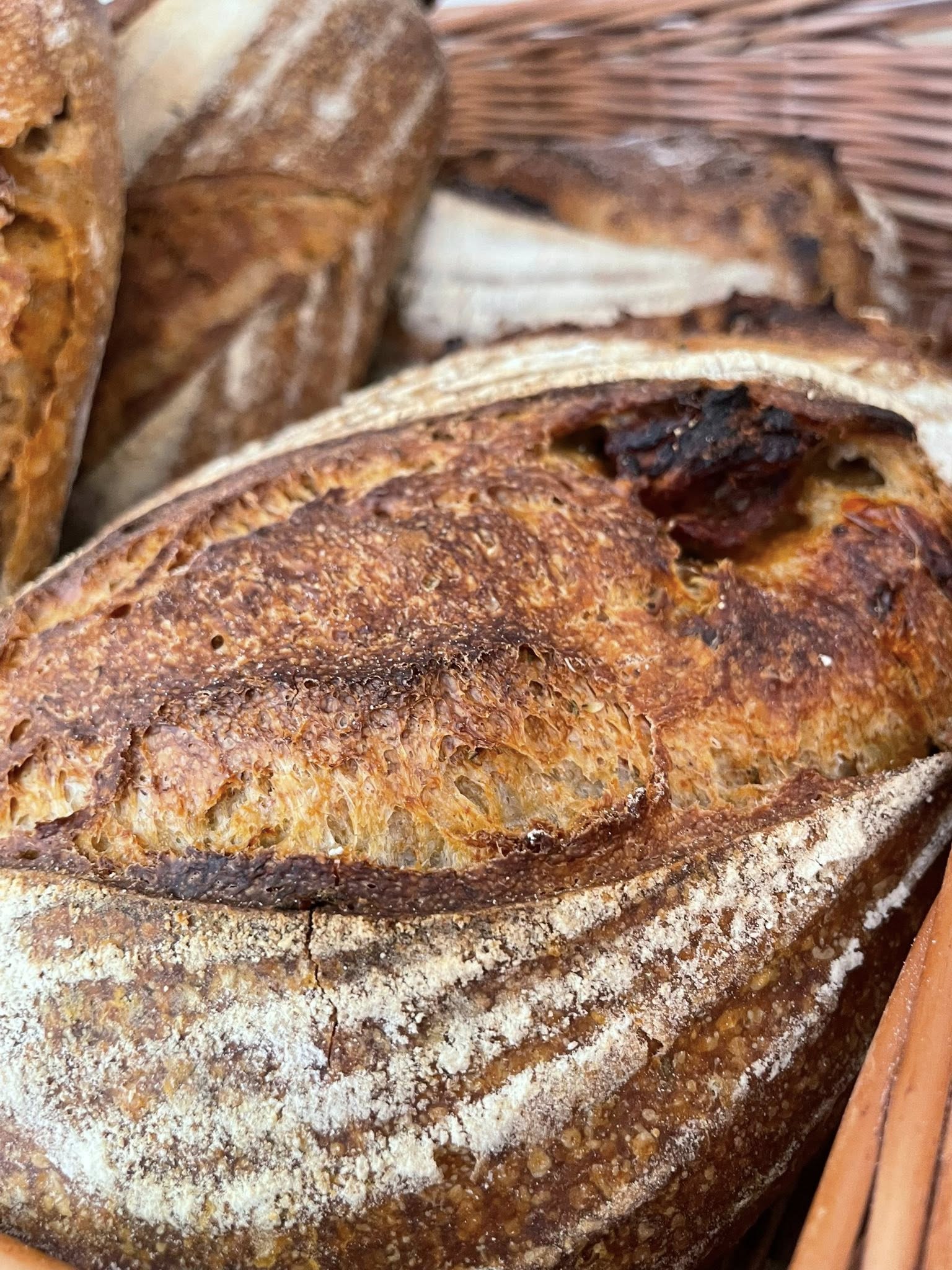 Image of Country Sourdough: Christmas Week (Katka's Bakehouse)