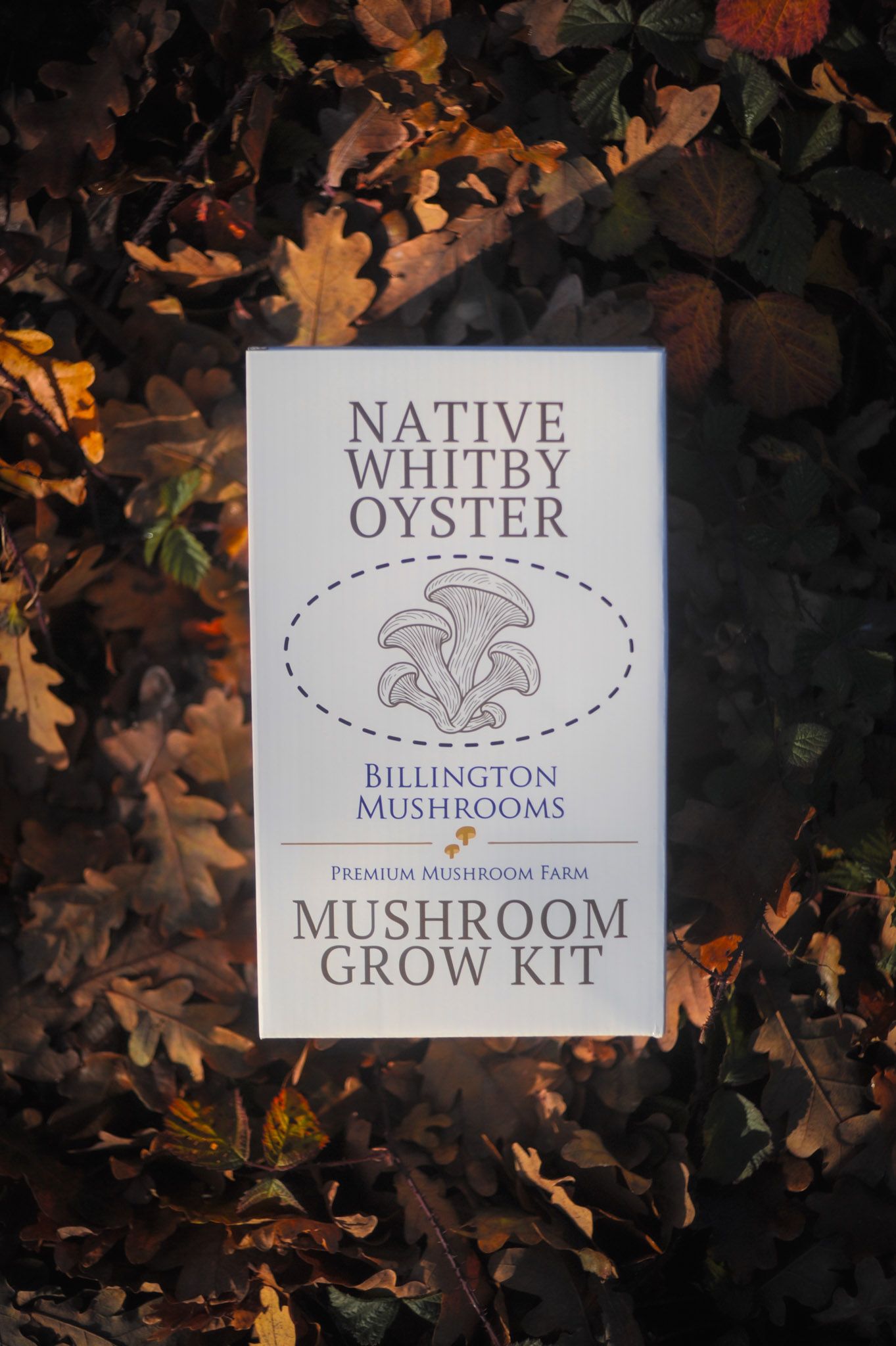 Mushroom Grow Kit Native Whitby Oyster 
