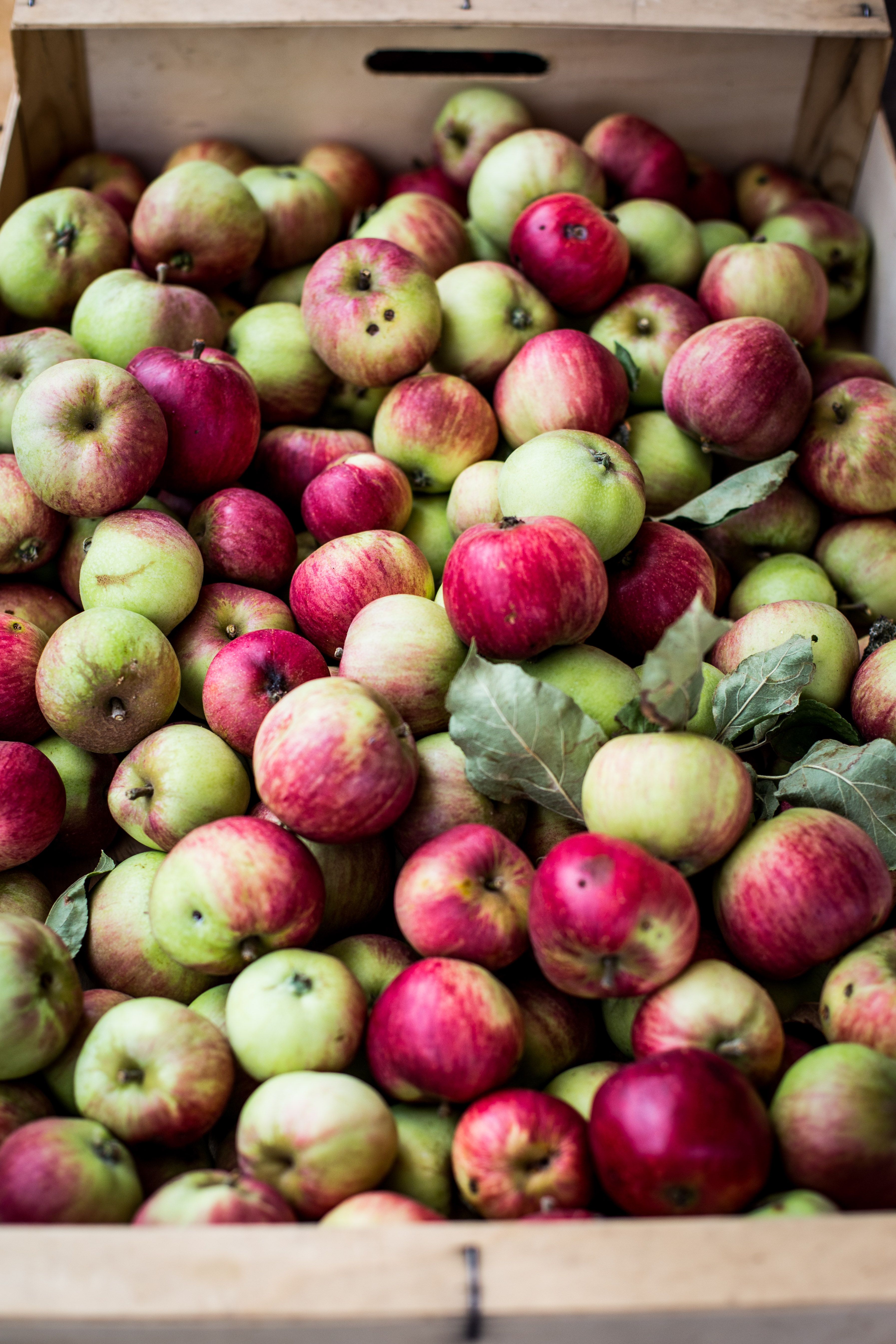 Image of Frequently Asked Questions