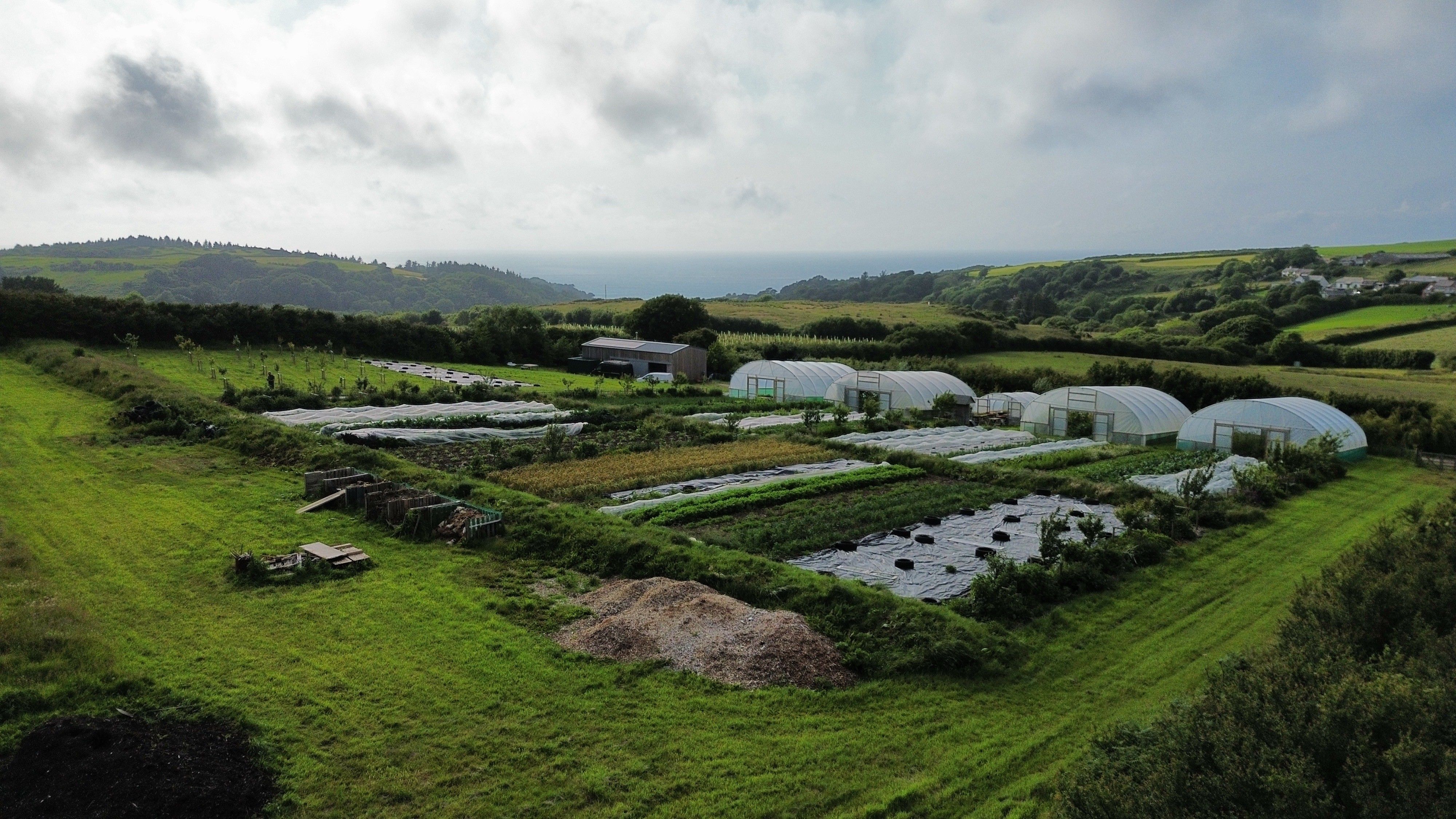 Image of Welcome to Amary Farm