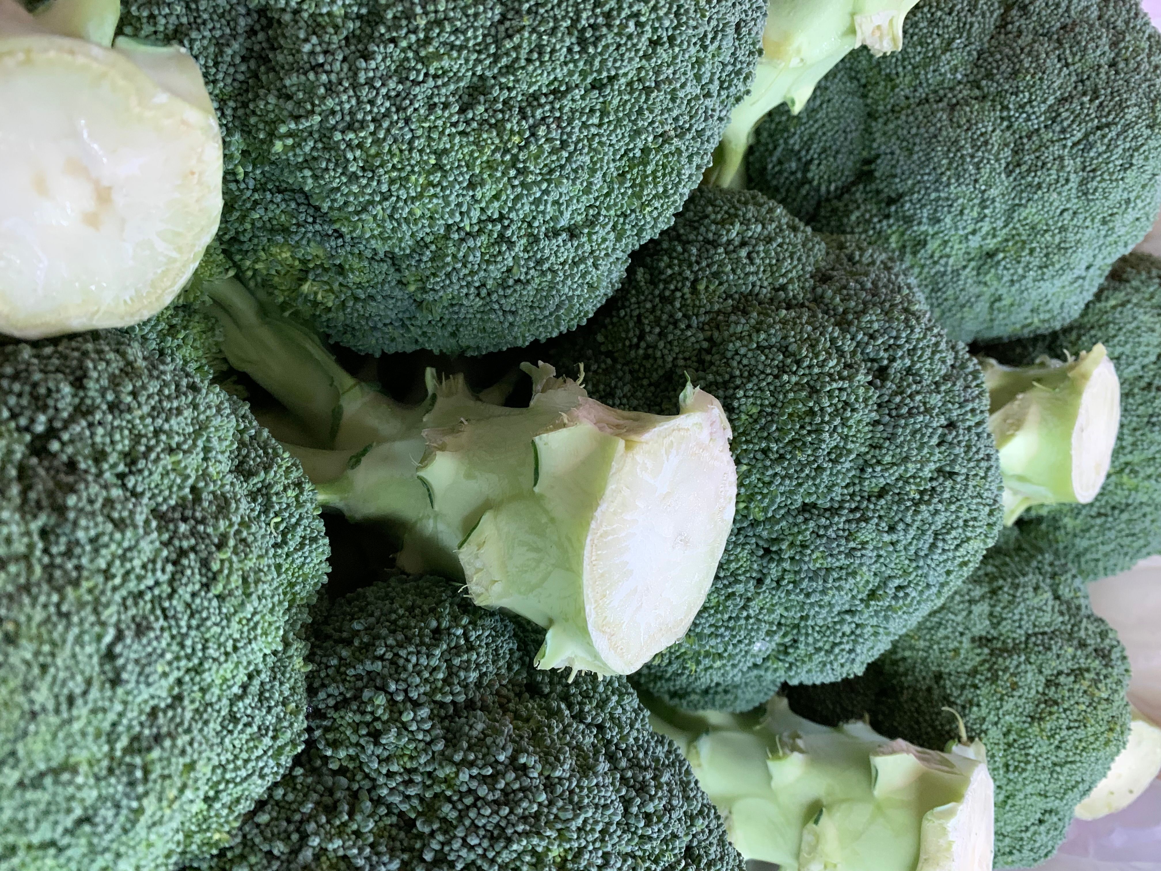 Image of Frequently Asked Questions