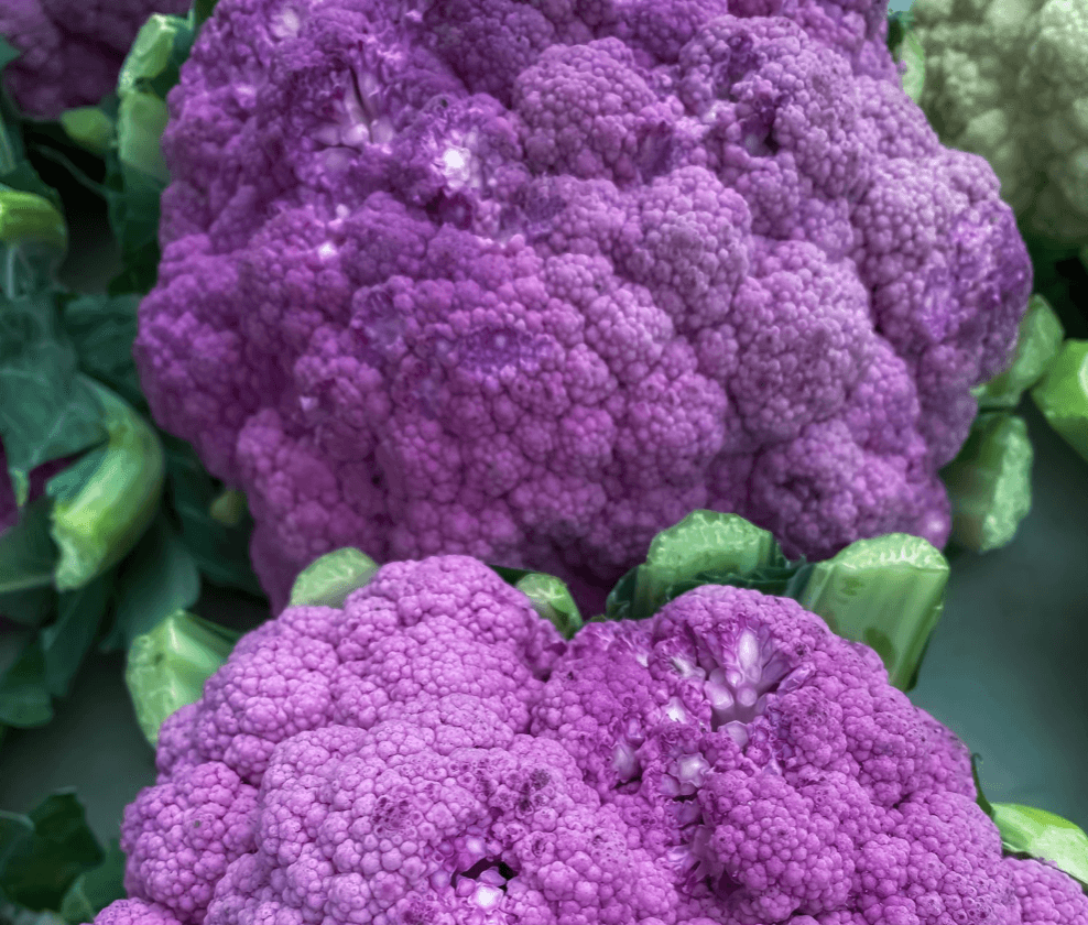 Purple Cauliflower