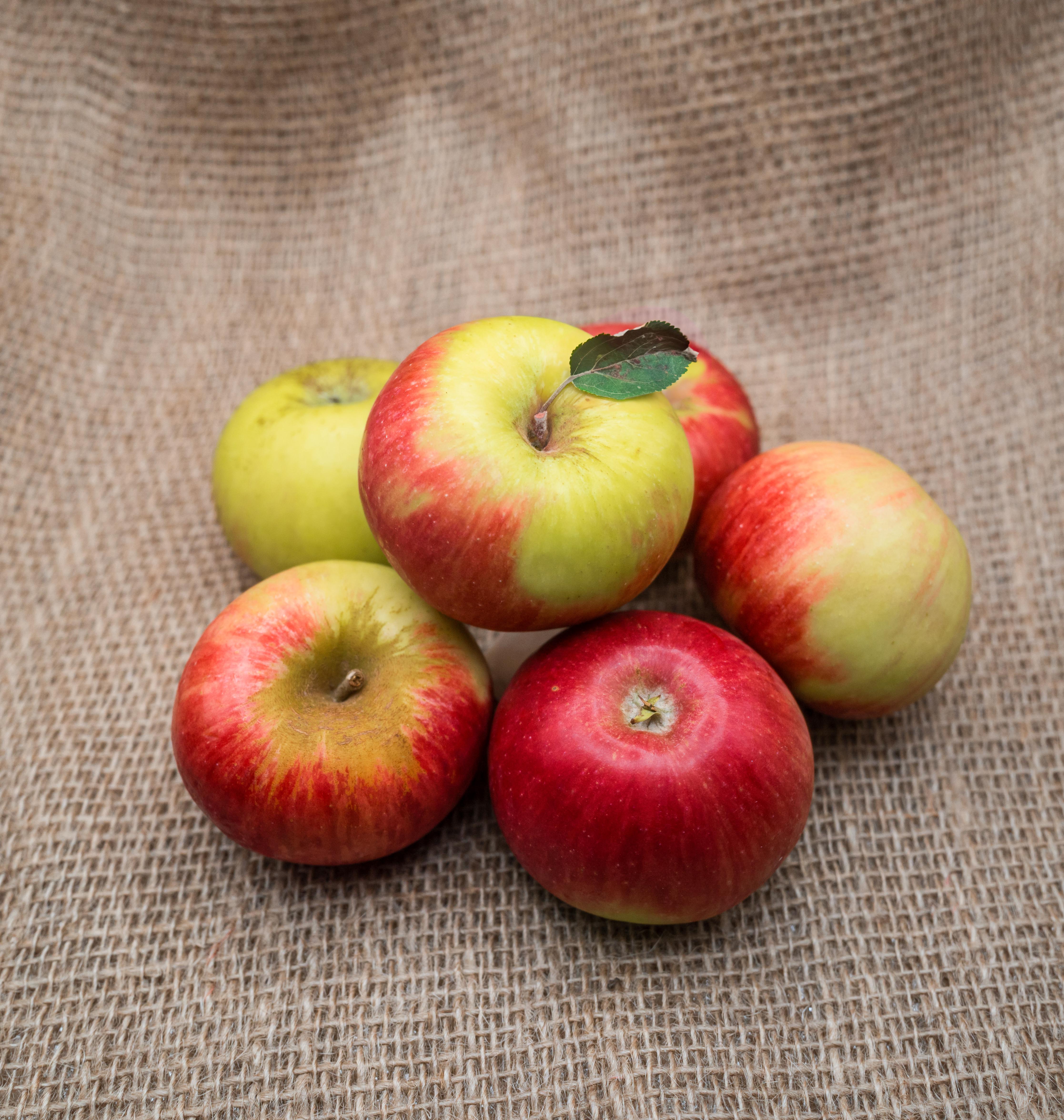 Image of Organic Apples 1kg