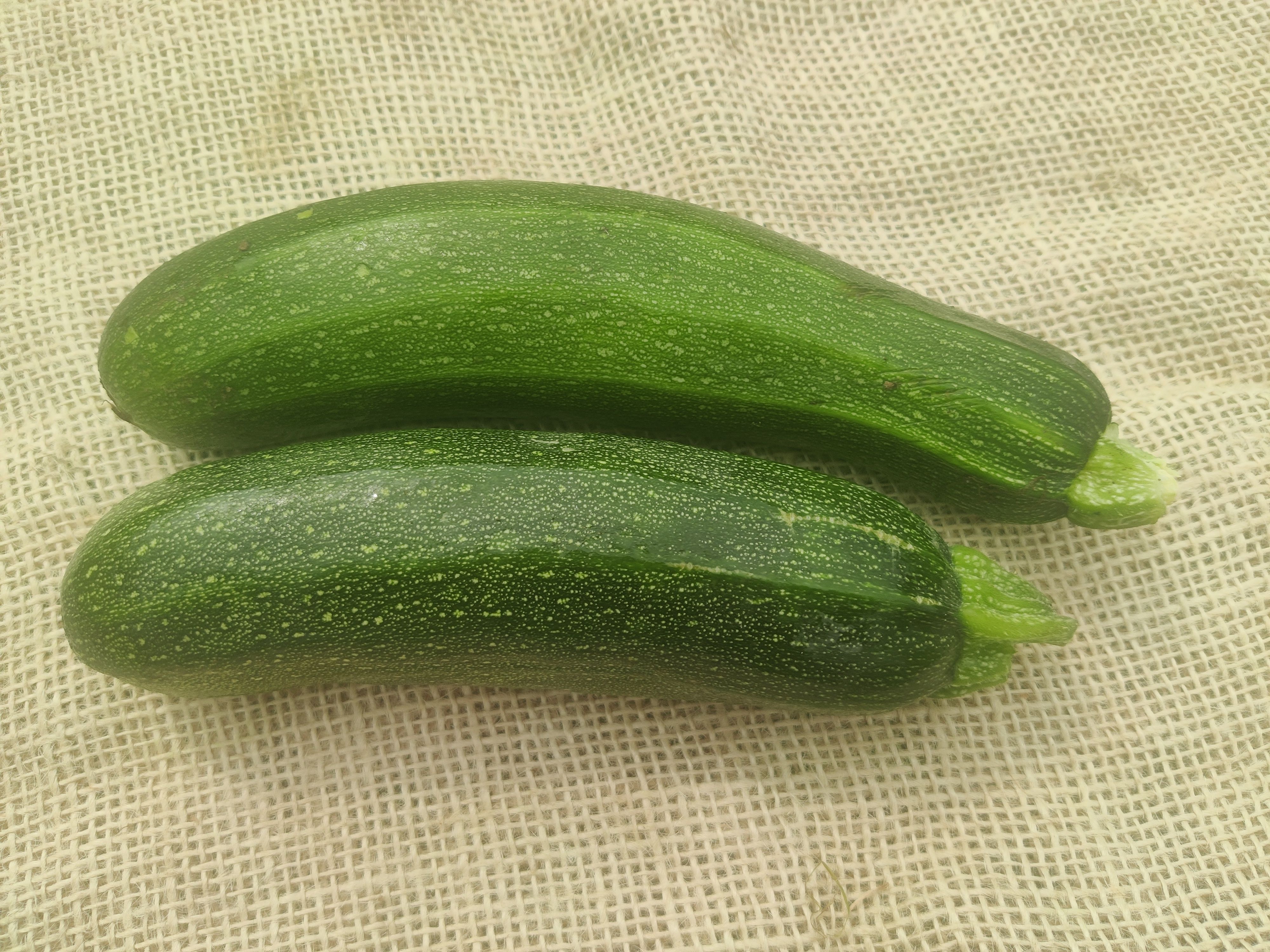 Image of Courgette (Forty Hall Farm)