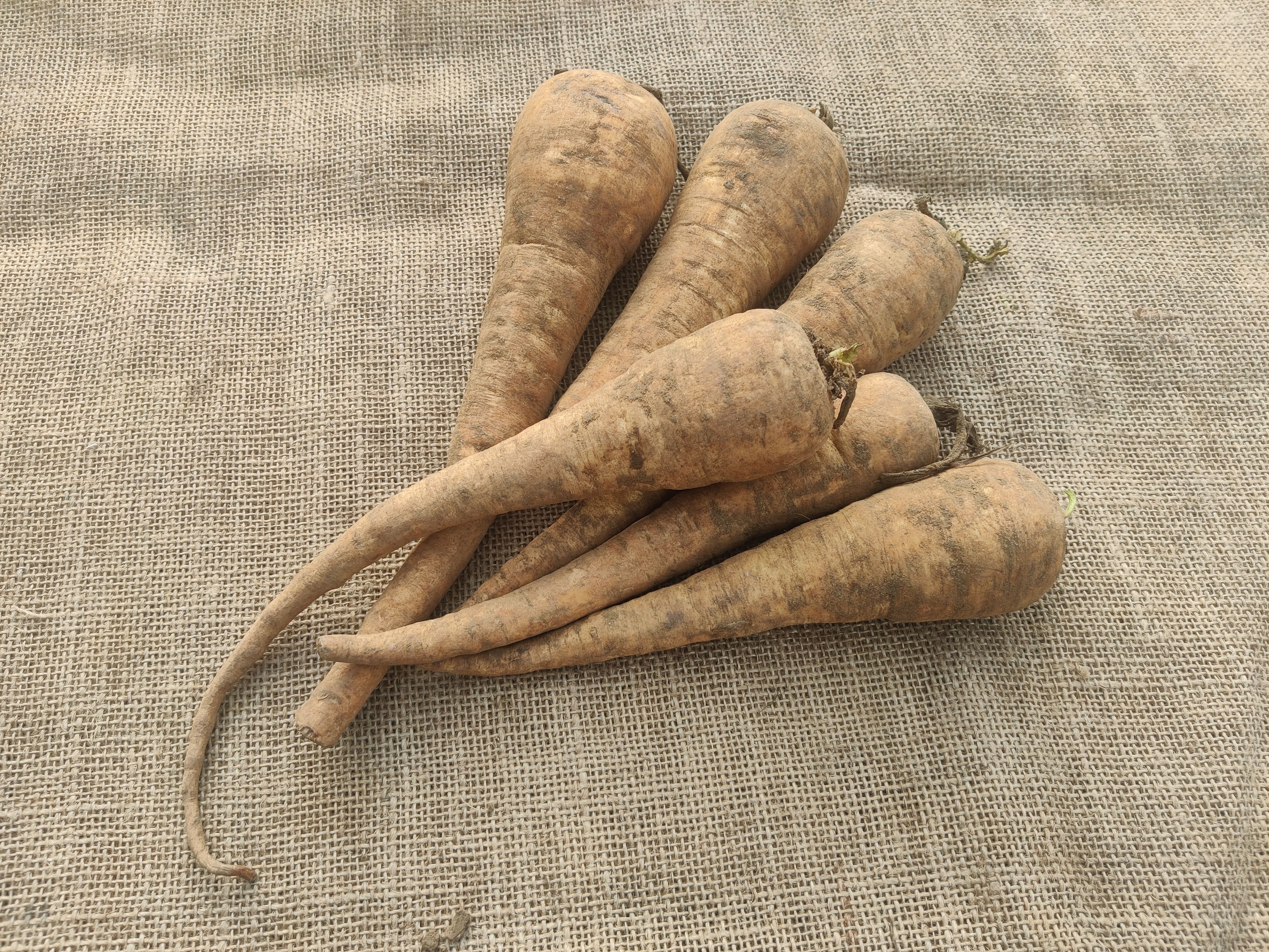 Parsnips