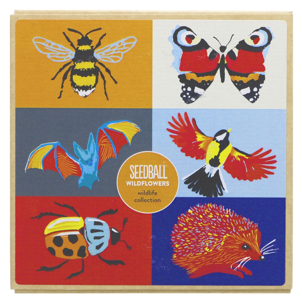 Image of Seedball Wildlife Collection Gift Set