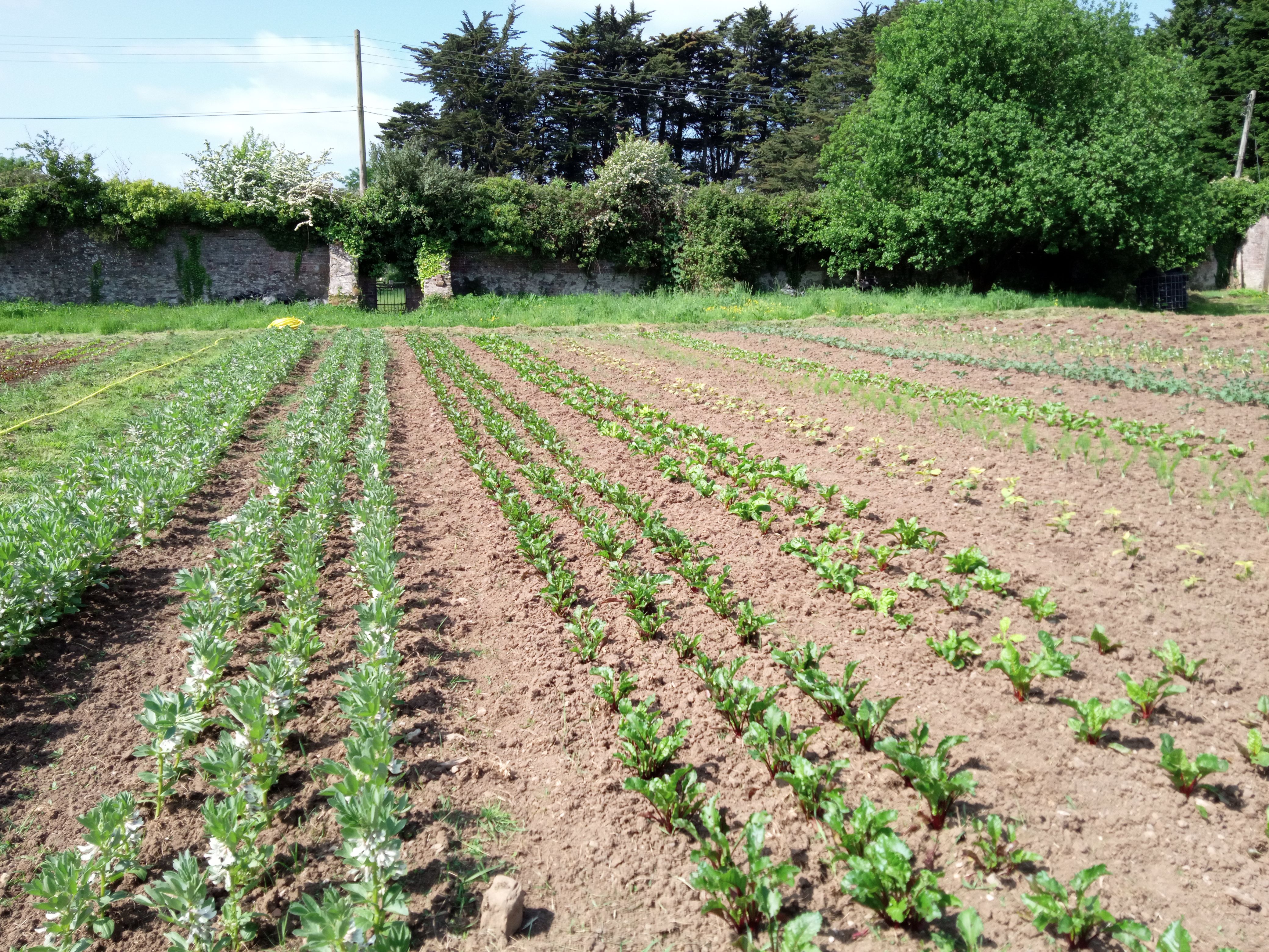 Image of About the farm