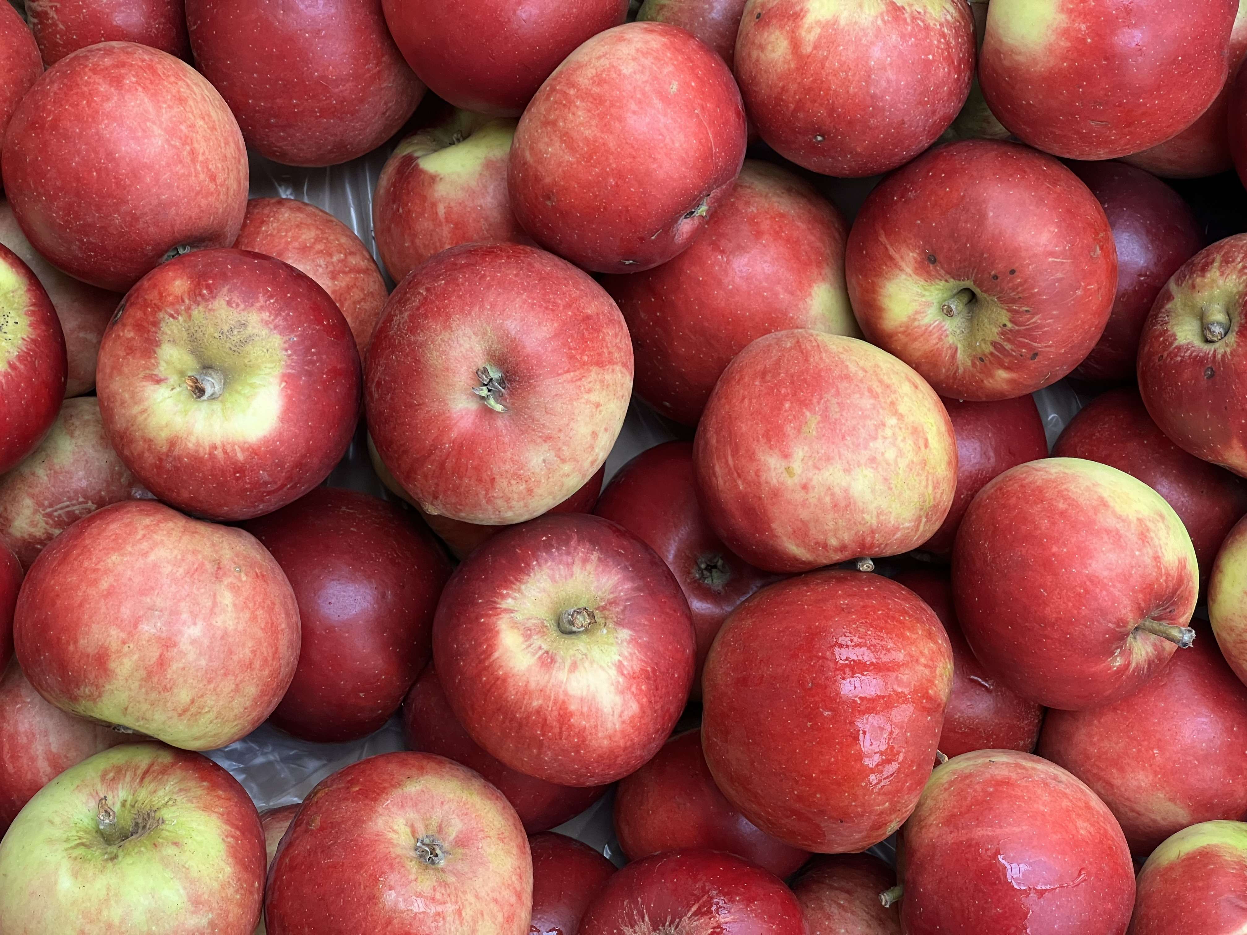 Red Devil Apples