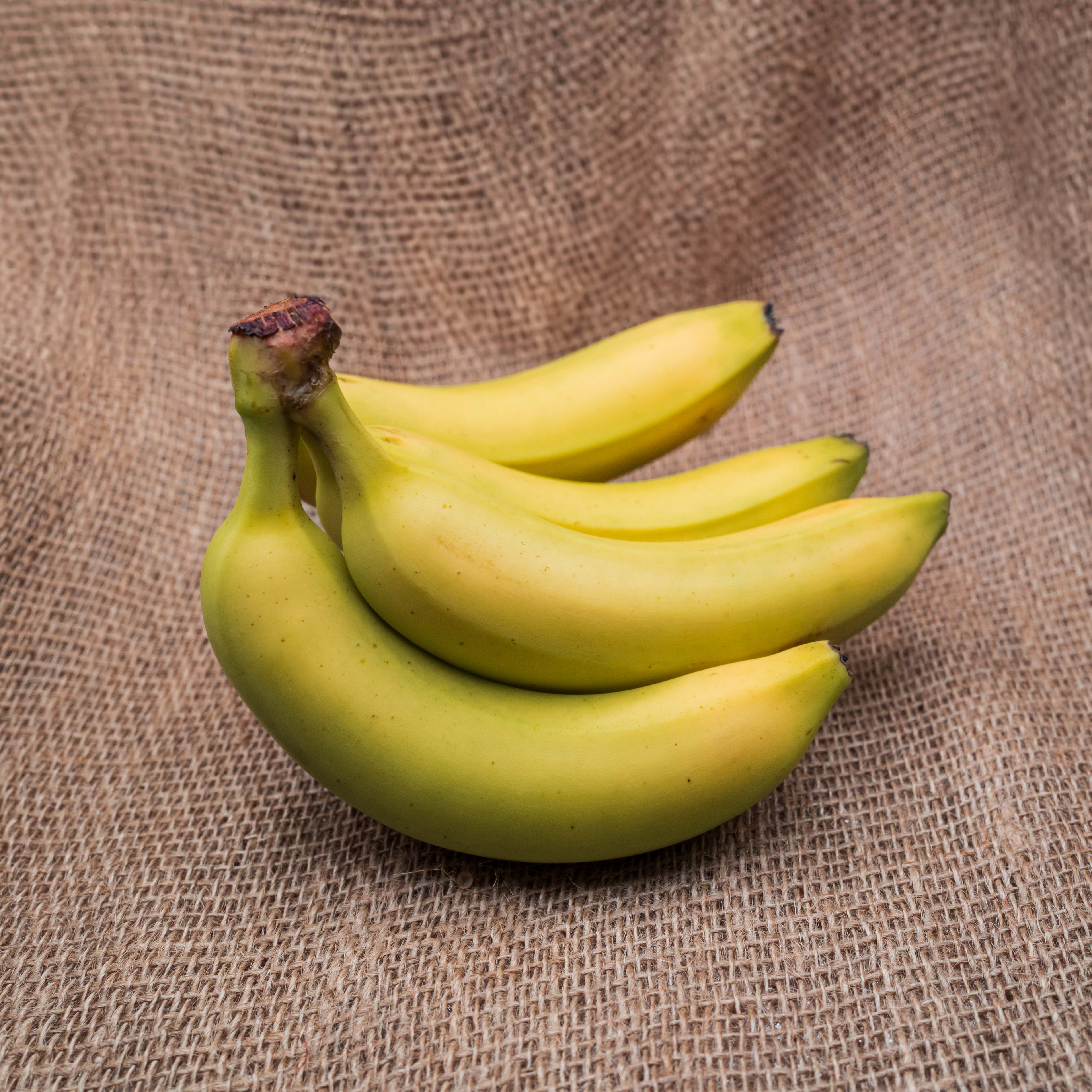 PYO Bananas