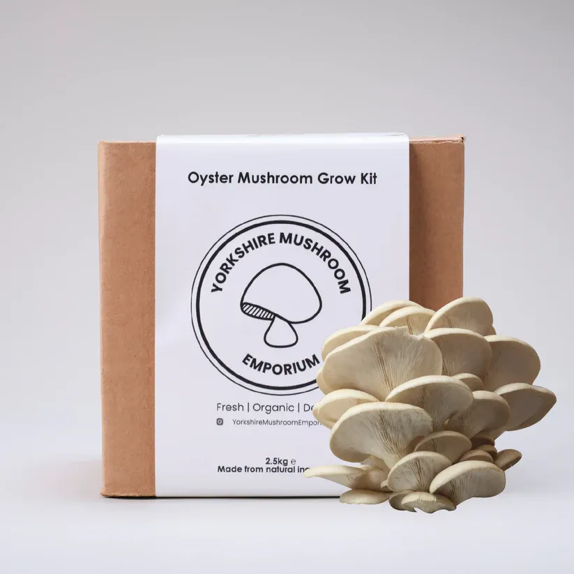 Image of Pearl Oyster Mushroom Grow Kit