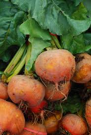PYO Beetroot - Golden