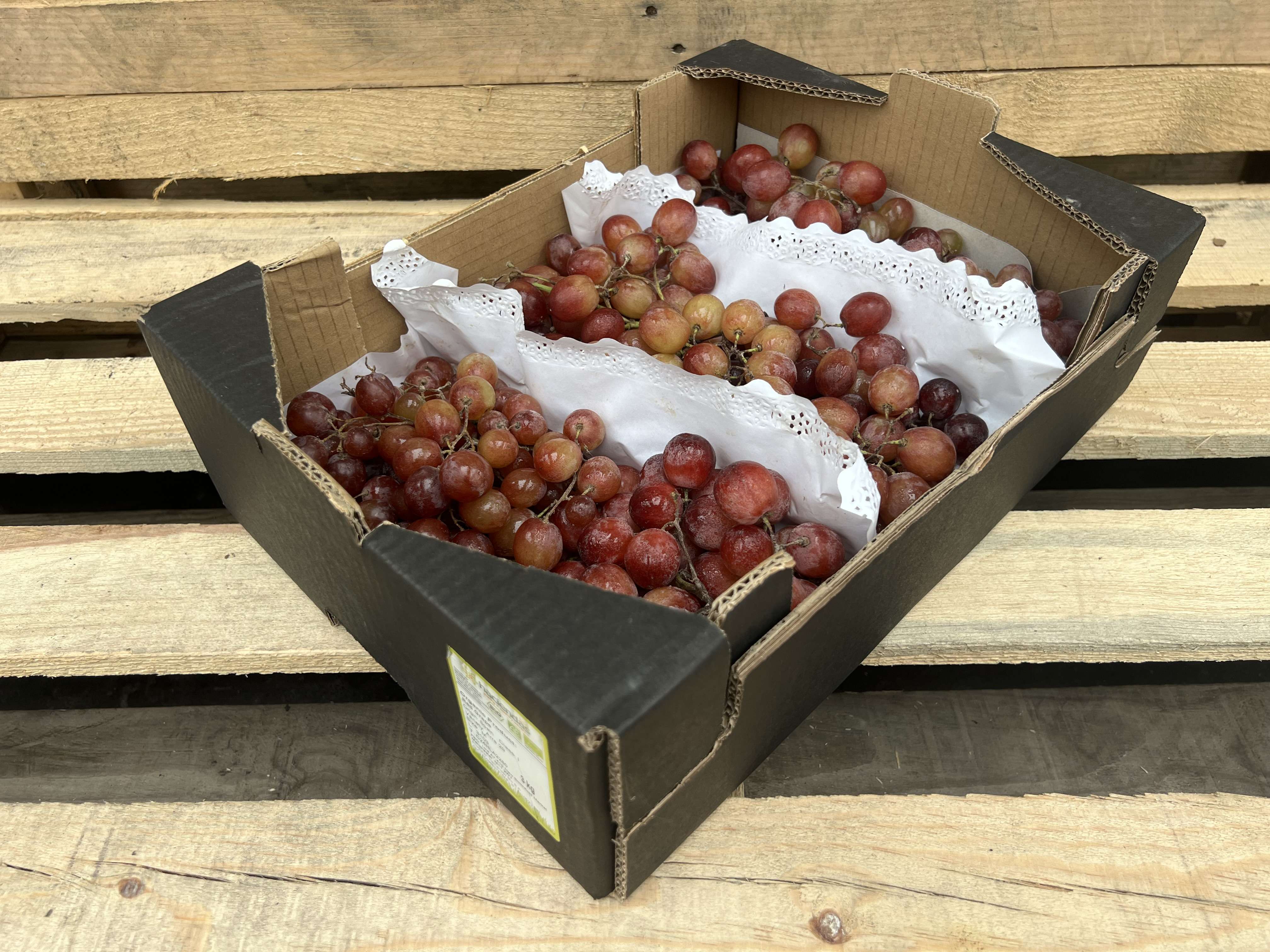 Red Seedless Grape