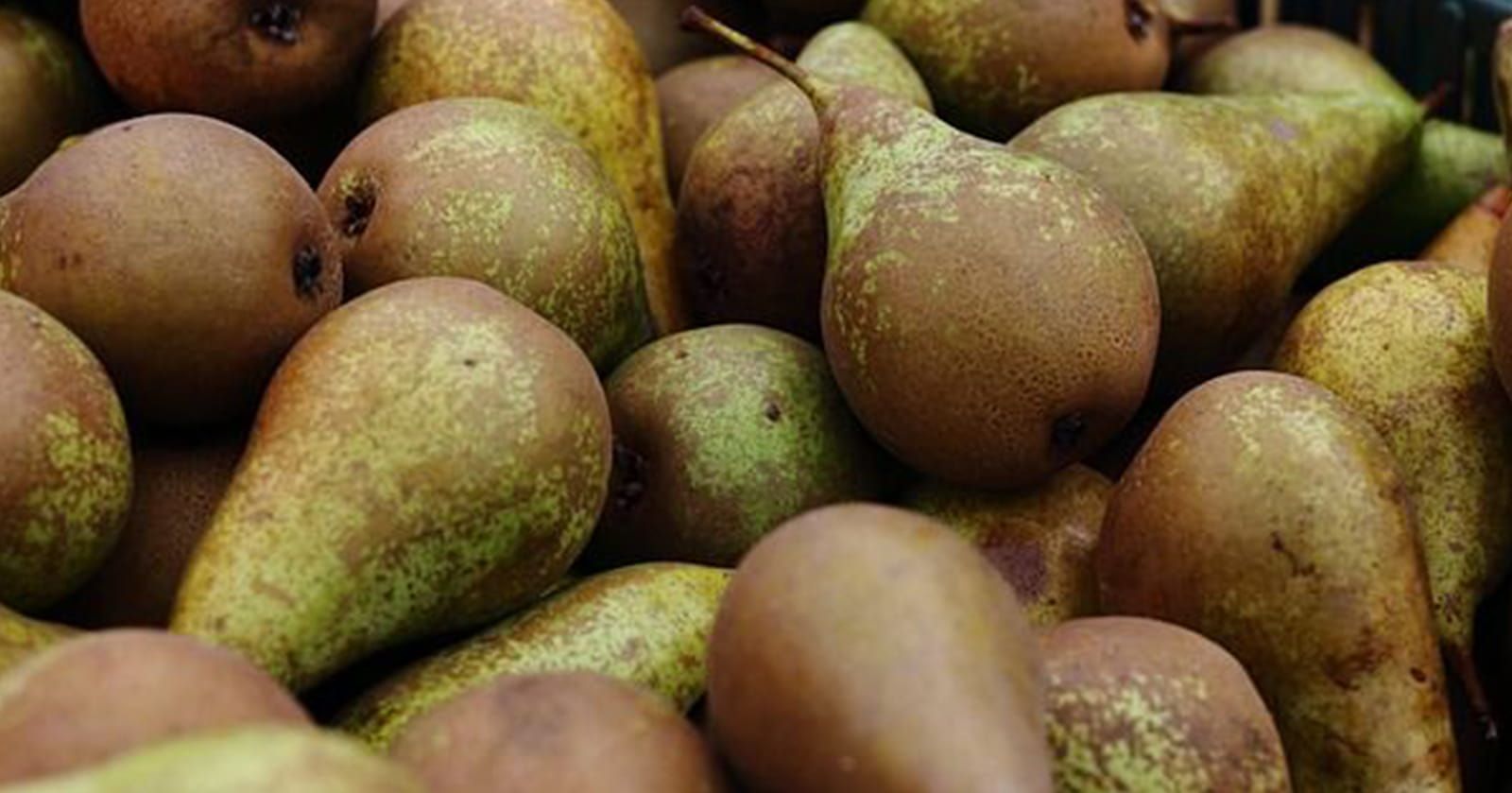 Image of Pears