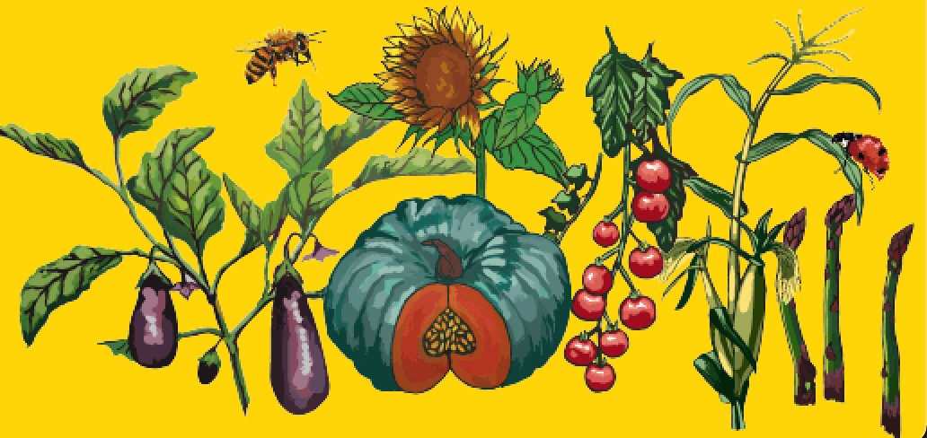 Image of Refer a friend