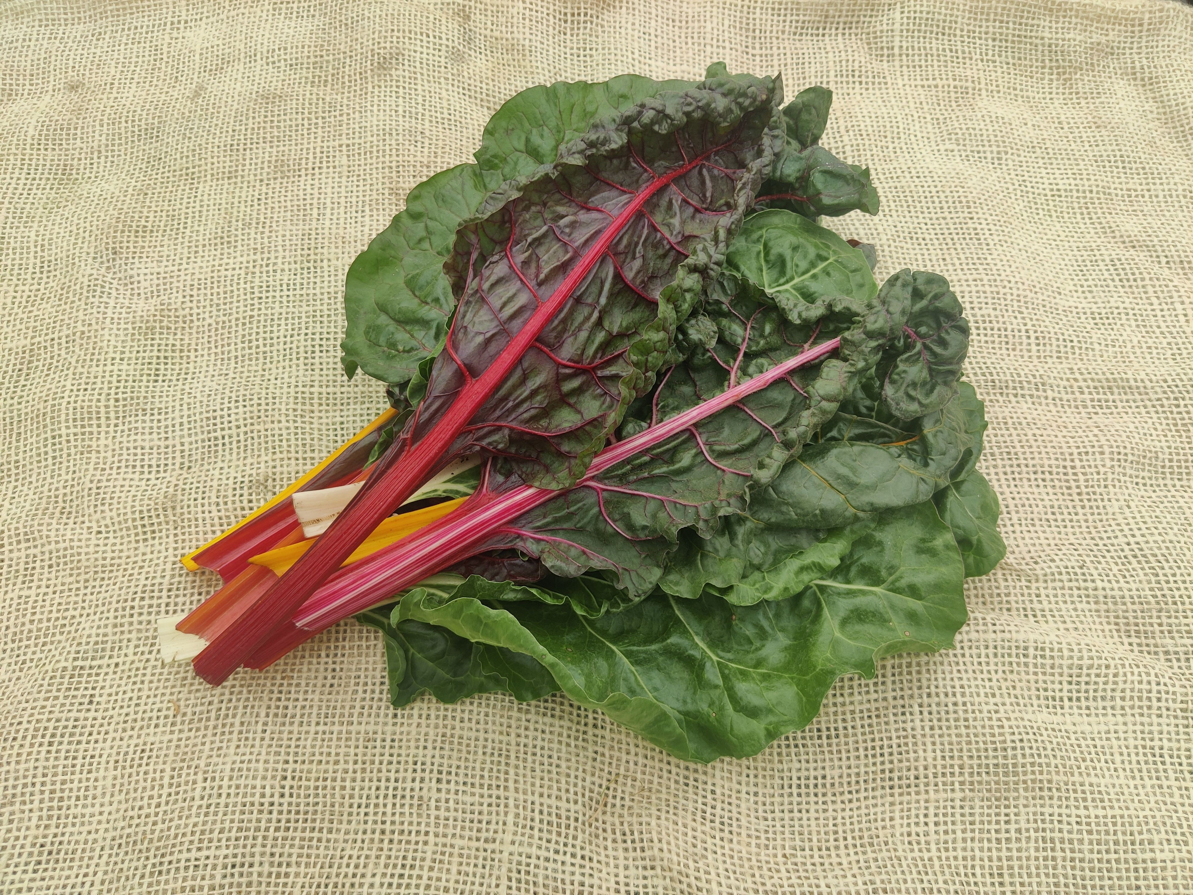 Image of Chard (Forty Hall Farm)